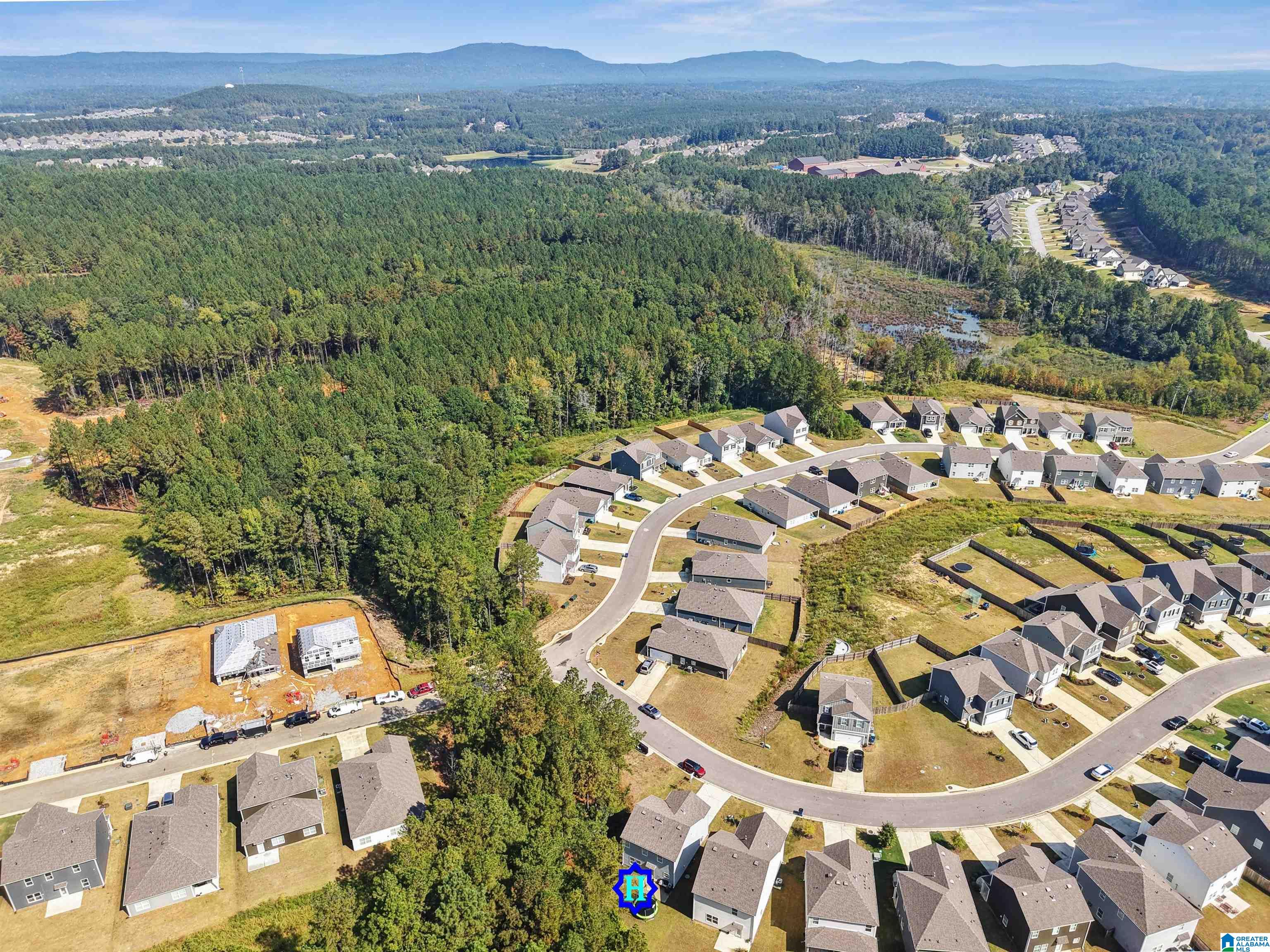 Homes for sale in Chelsea, AL | 200 Chelsea Park Circle, Chelsea, AL 35043 | MLS# 21430854