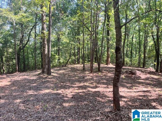 Homes for sale in Pell City, AL | 1110 29th Street N, Pell City, AL 35125 | MLS# 21431039