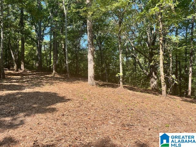 Homes for sale in Pell City, AL | 1110 29th Street N, Pell City, AL 35125 | MLS# 21431039