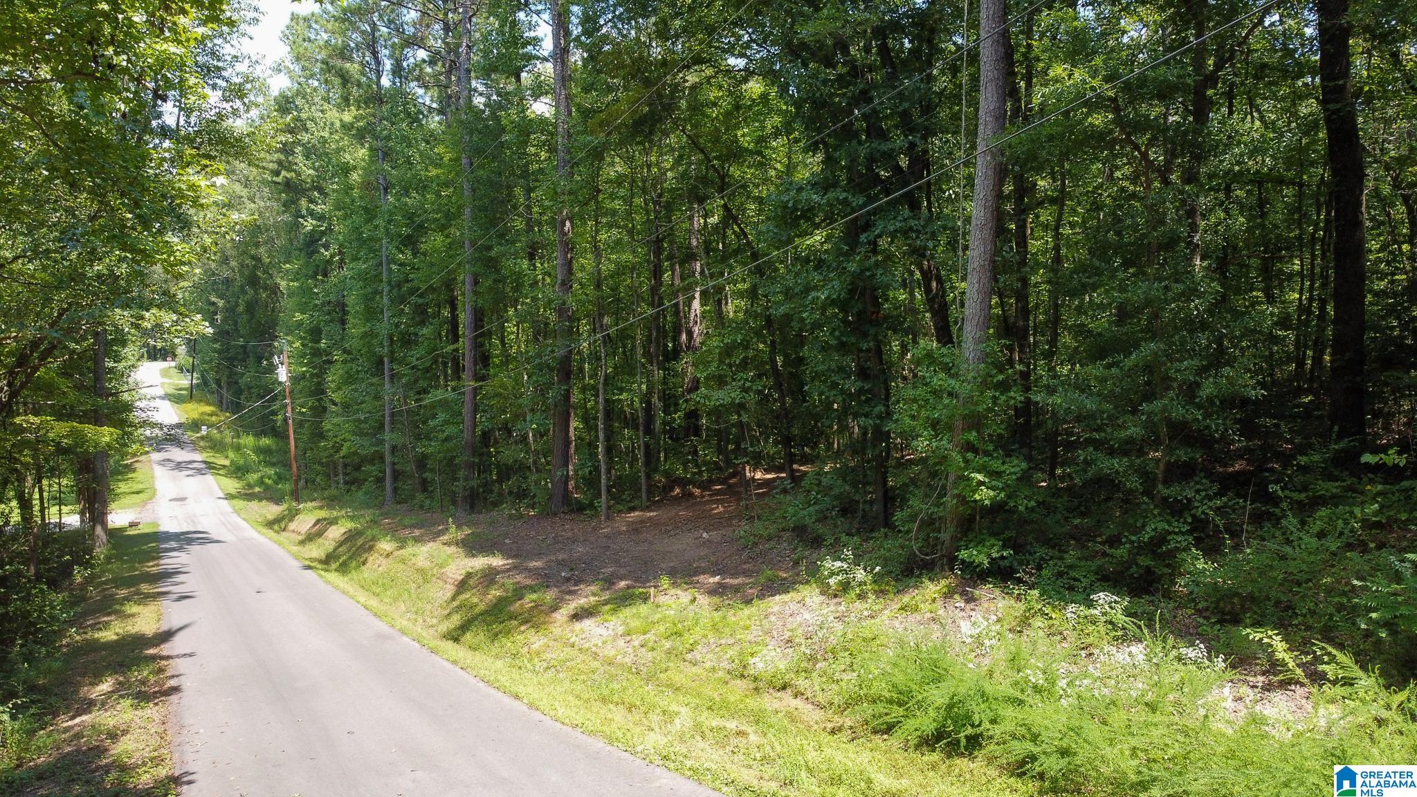 Homes for sale in Pell City, AL | 1110 29th Street N, Pell City, AL 35125 | MLS# 21431039