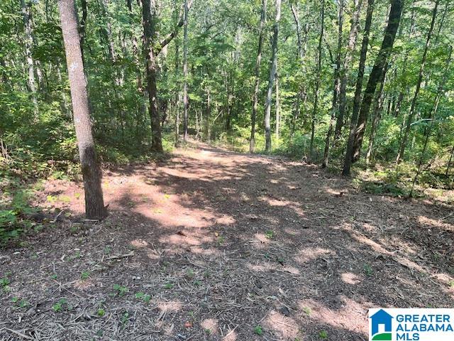 Homes for sale in Pell City, AL | 1110 29Th Street N, Pell City, AL 35125 | MLS# 21431039