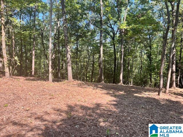 Homes for sale in Pell City, AL | 1110 29Th Street N, Pell City, AL 35125 | MLS# 21431039