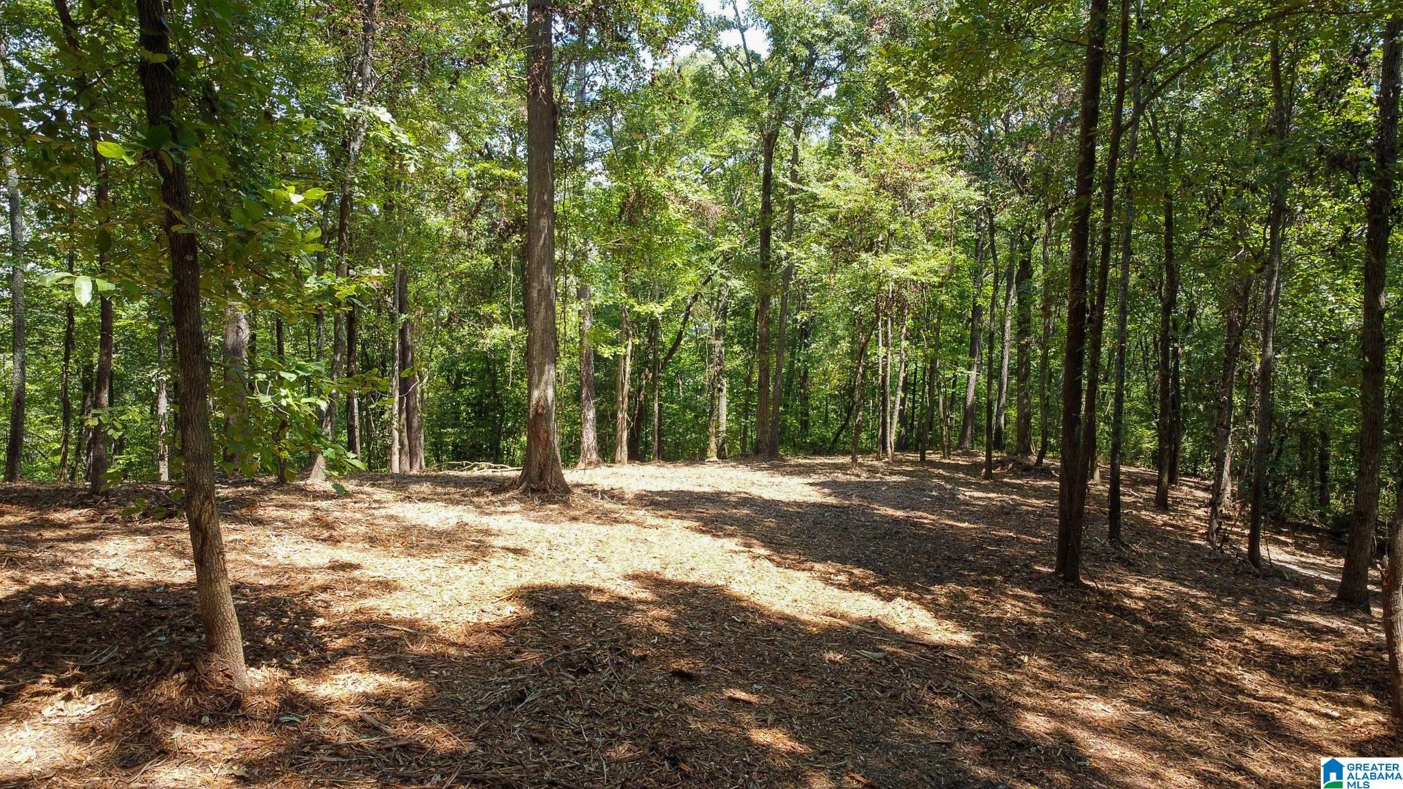 Homes for sale in Pell City, AL | 1110 29Th Street N, Pell City, AL 35125 | MLS# 21431039