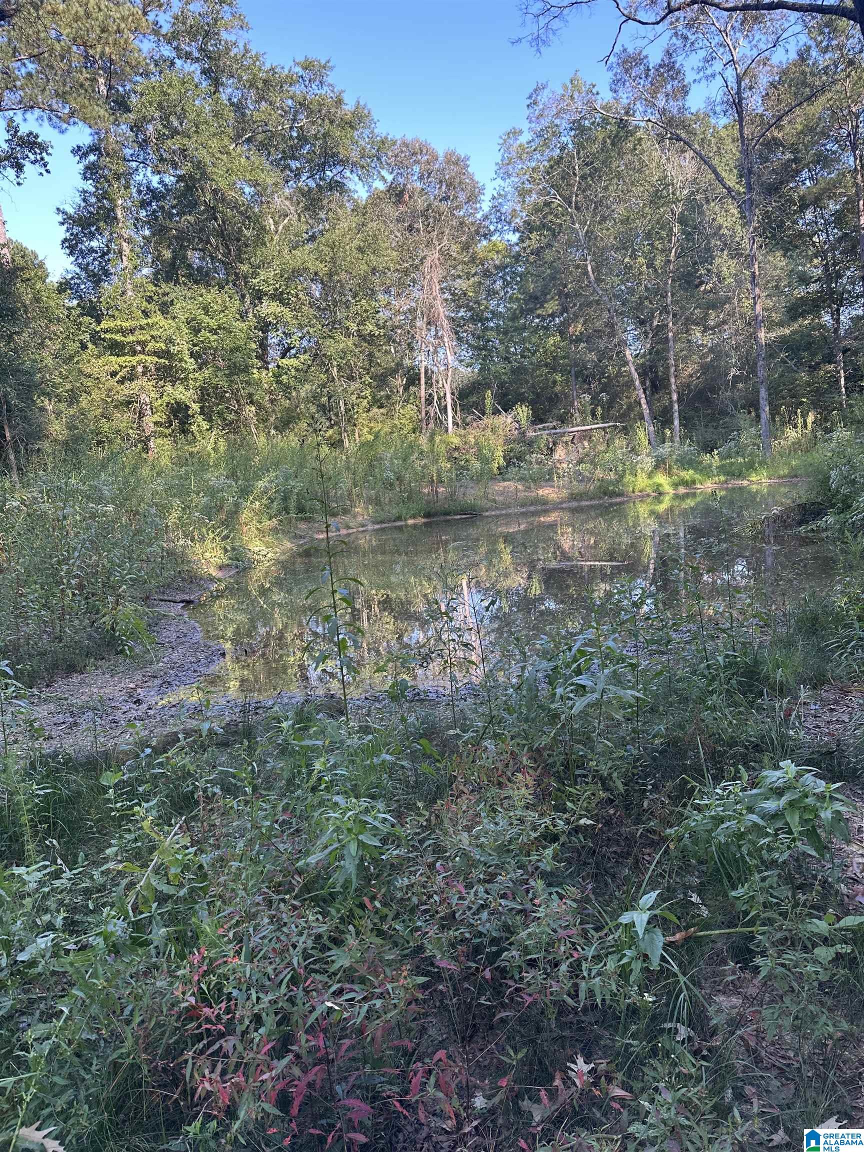 Homes for sale in Piedmont, AL | 135 Maddox Road, Piedmont, AL 36272 | MLS# 21431093