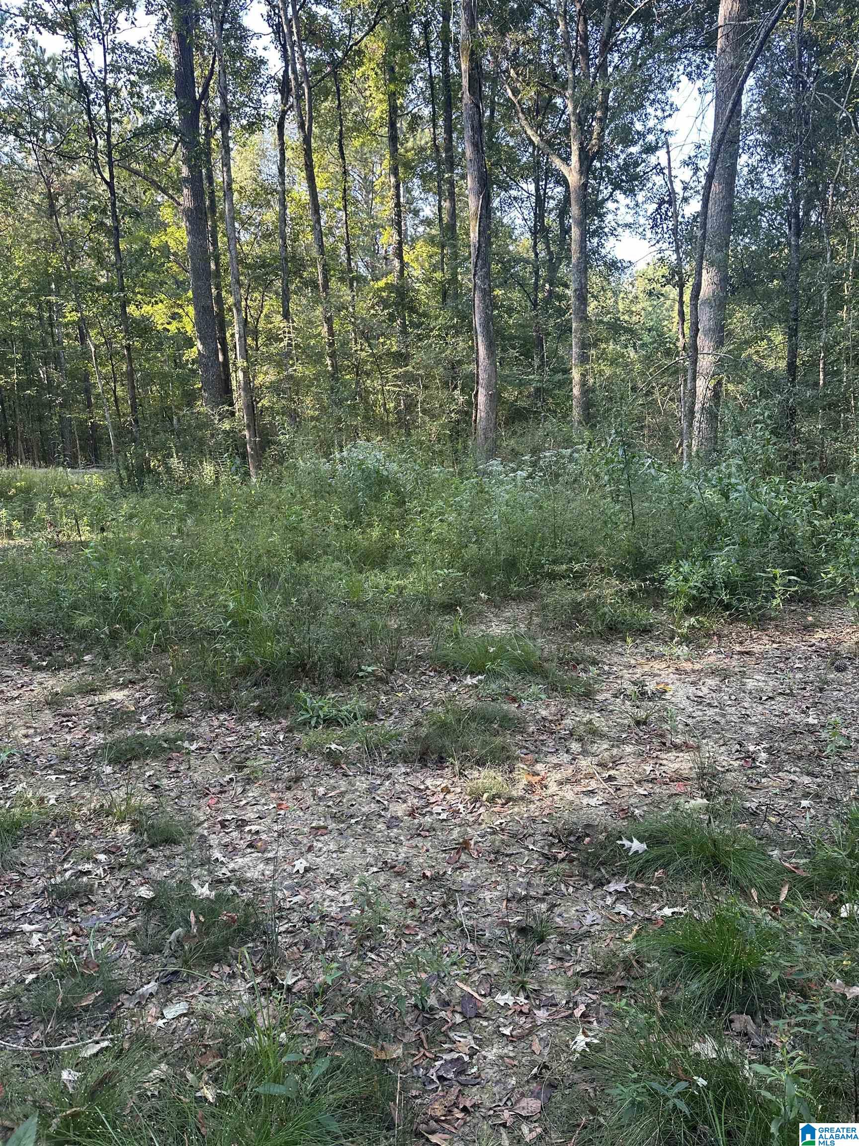 Homes for sale in Piedmont, AL | 135 Maddox Road, Piedmont, AL 36272 | MLS# 21431093