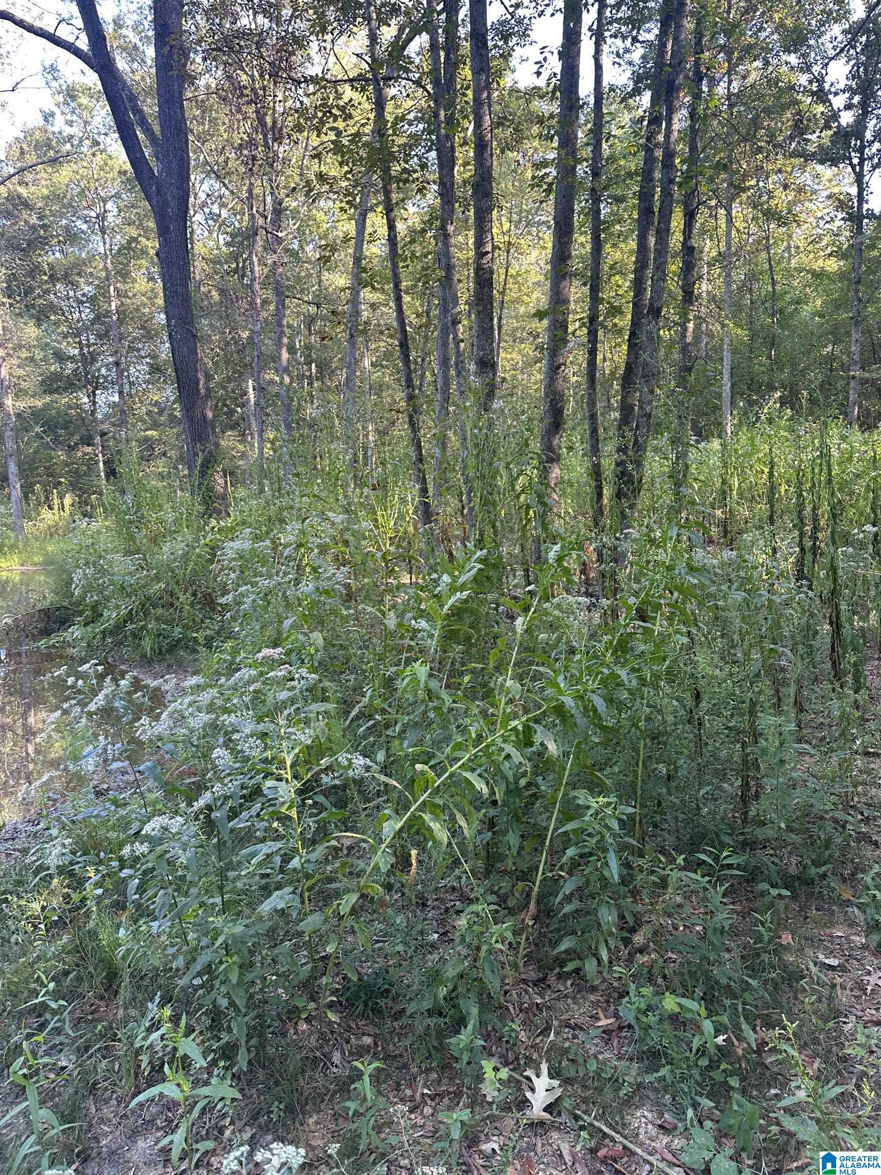 Homes for sale in Piedmont, AL | 135 Maddox Road, Piedmont, AL 36272 | MLS# 21431093