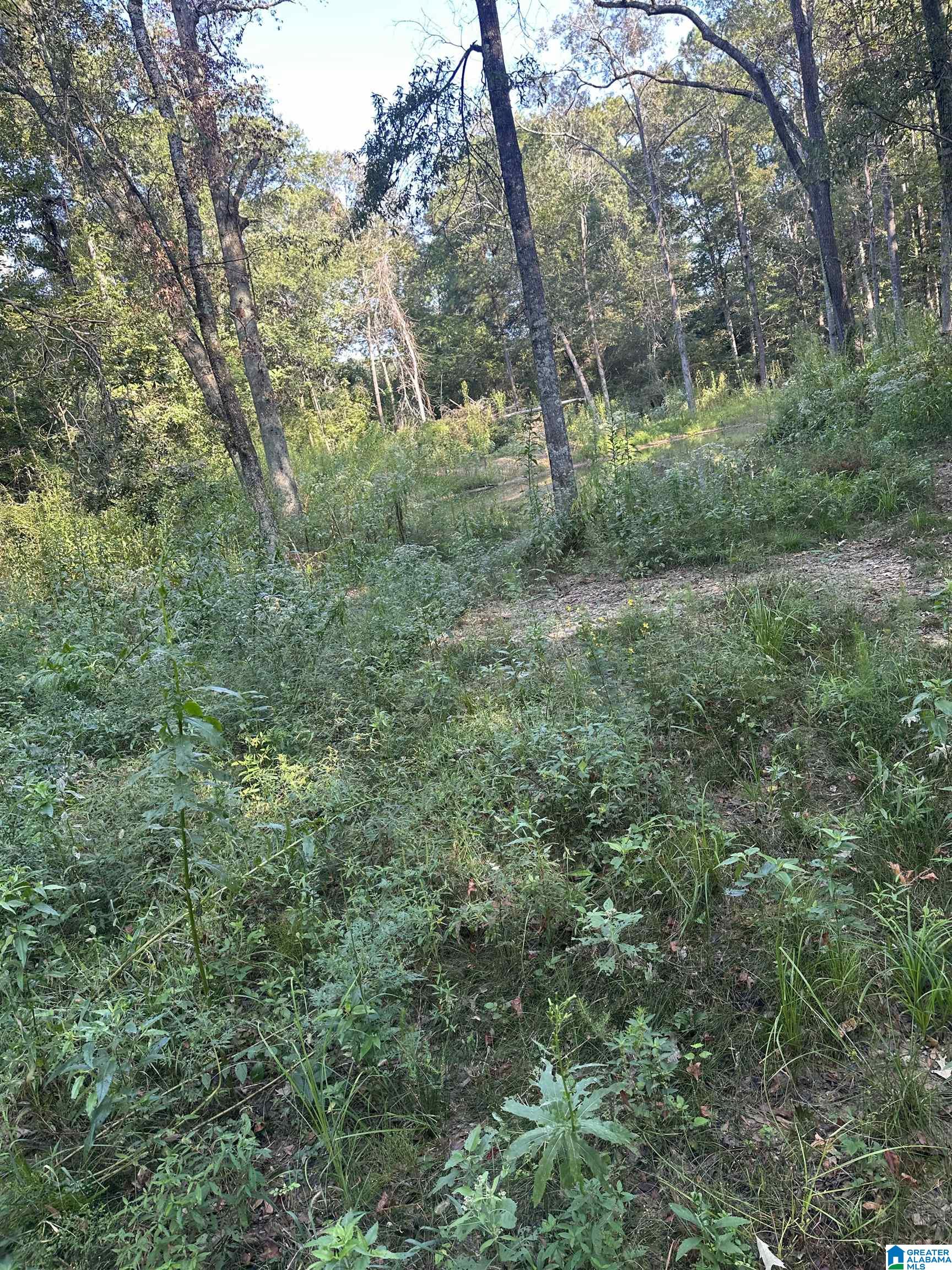 Homes for sale in Piedmont, AL | 135 Maddox Road, Piedmont, AL 36272 | MLS# 21431093