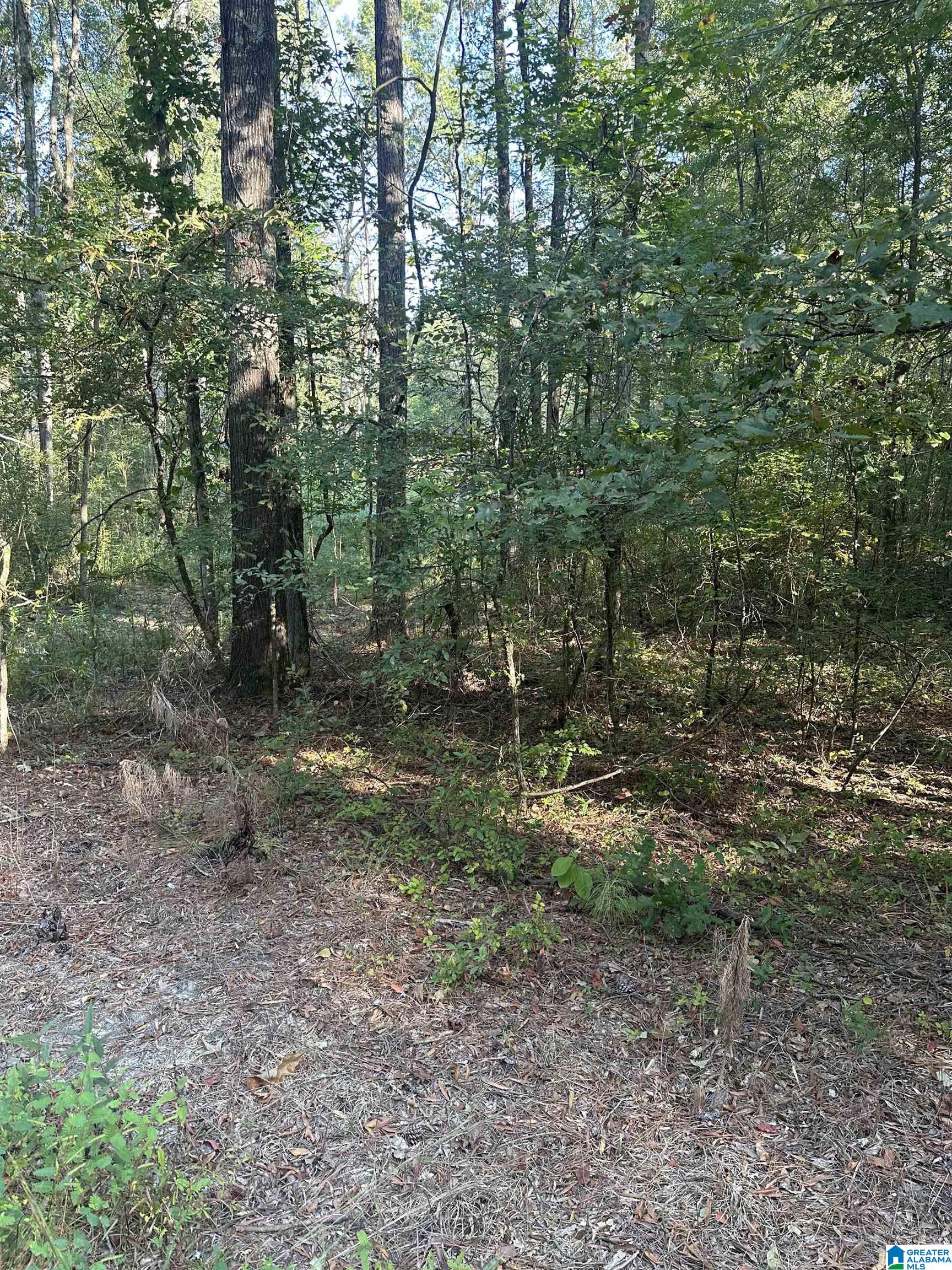 Homes for sale in Piedmont, AL | 135 Maddox Road, Piedmont, AL 36272 | MLS# 21431093