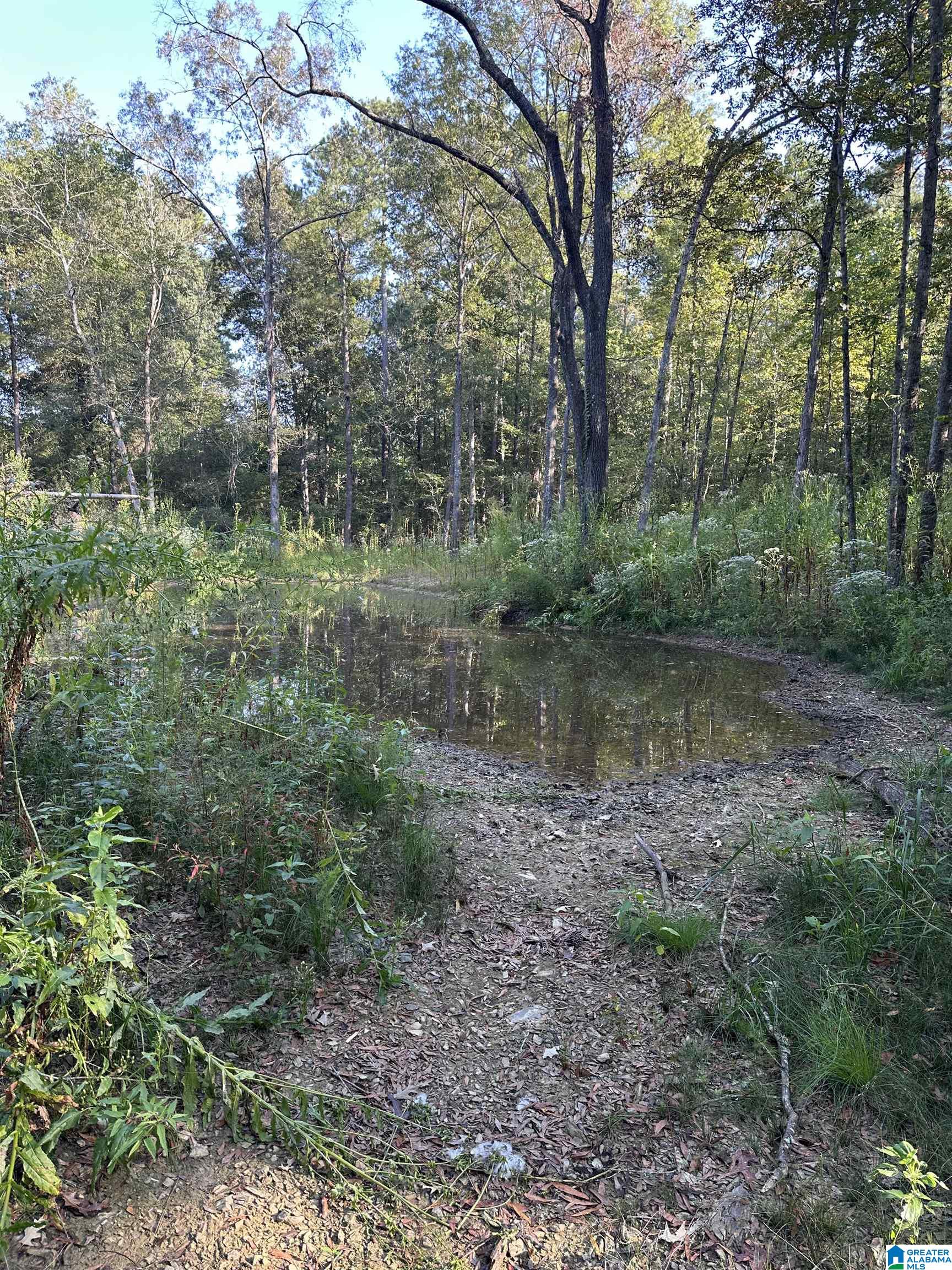 Homes for sale in Piedmont, AL | 135 Maddox Road, Piedmont, AL 36272 | MLS# 21431093