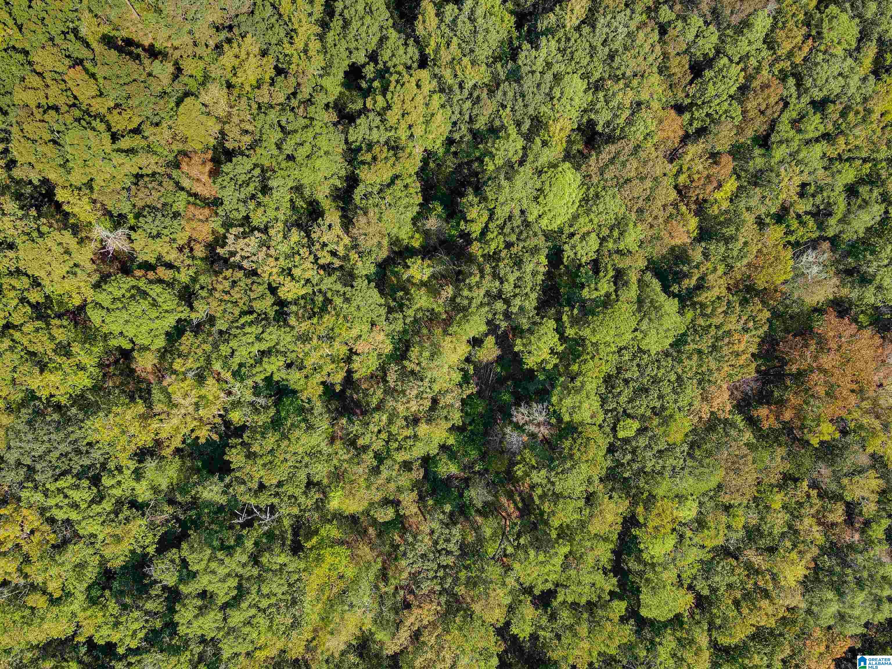 Homes for sale in Jemison, AL | 20830 Hwy 31, Jemison, AL 35085 | MLS# 21431213