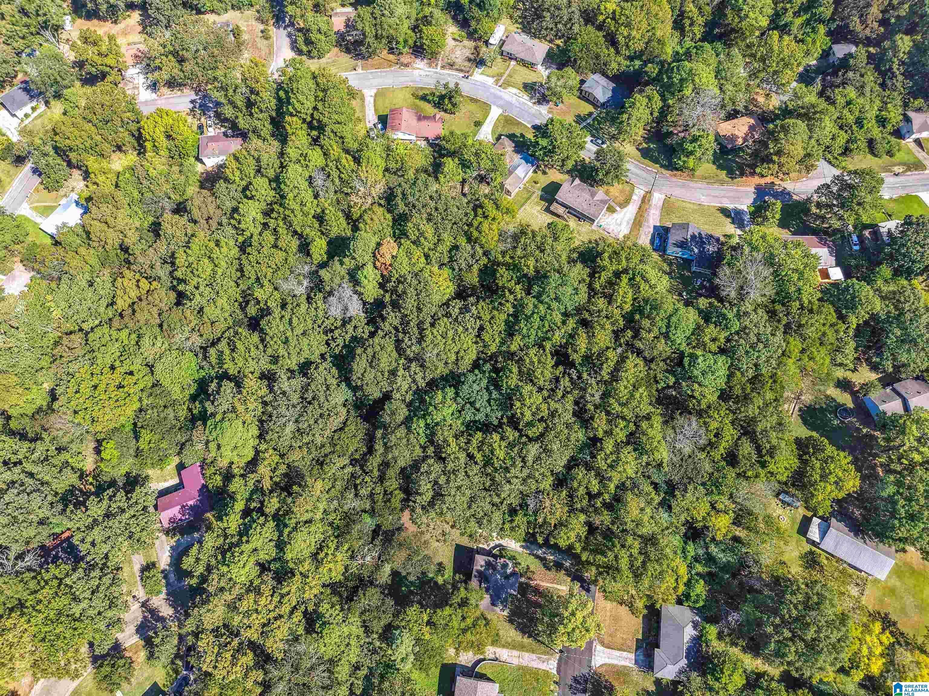 Homes for sale in Center Point, AL | 2524 4Th Pl Nw, Center Point, AL 35215 | MLS# 21431283