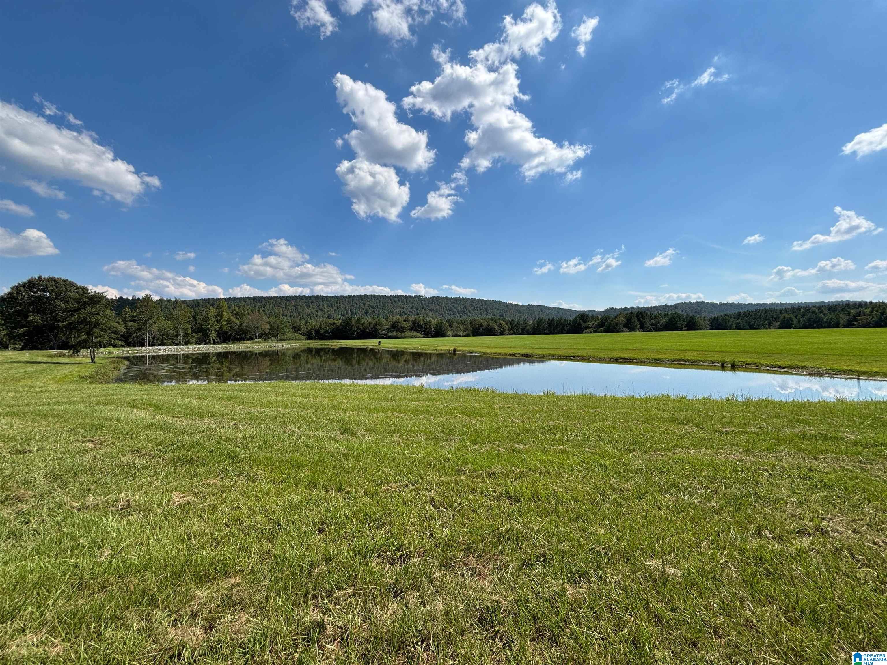 Homes for sale in Ashville, AL | 6150 Shoal Creek Road, Ashville, AL 35953 | MLS# 21431285