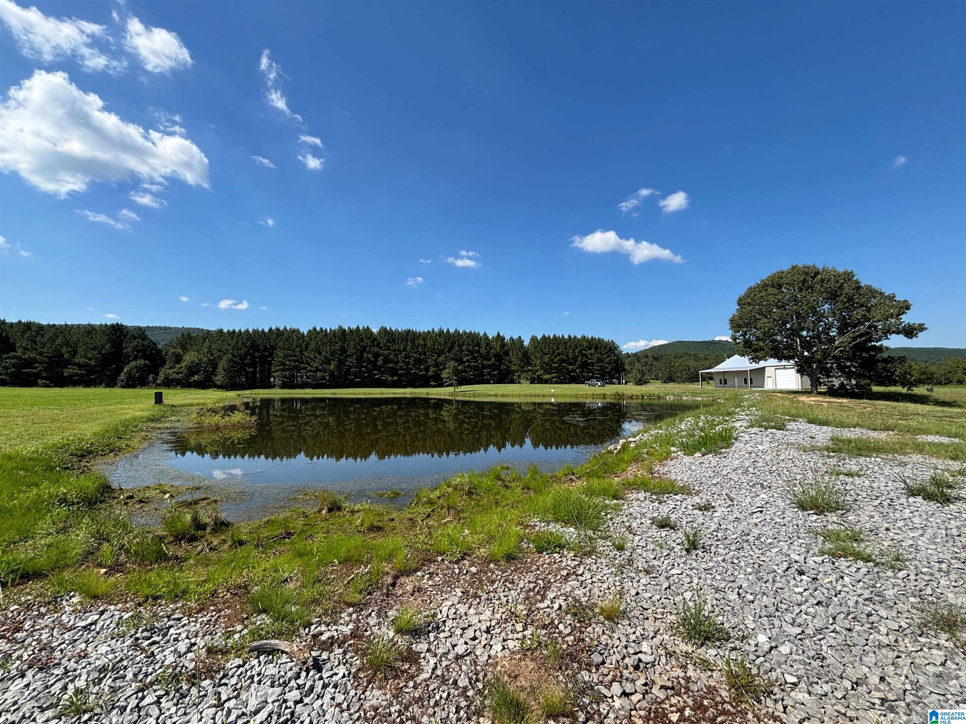 Homes for sale in Ashville, AL | 6150 Shoal Creek Road, Ashville, AL 35953 | MLS# 21431285