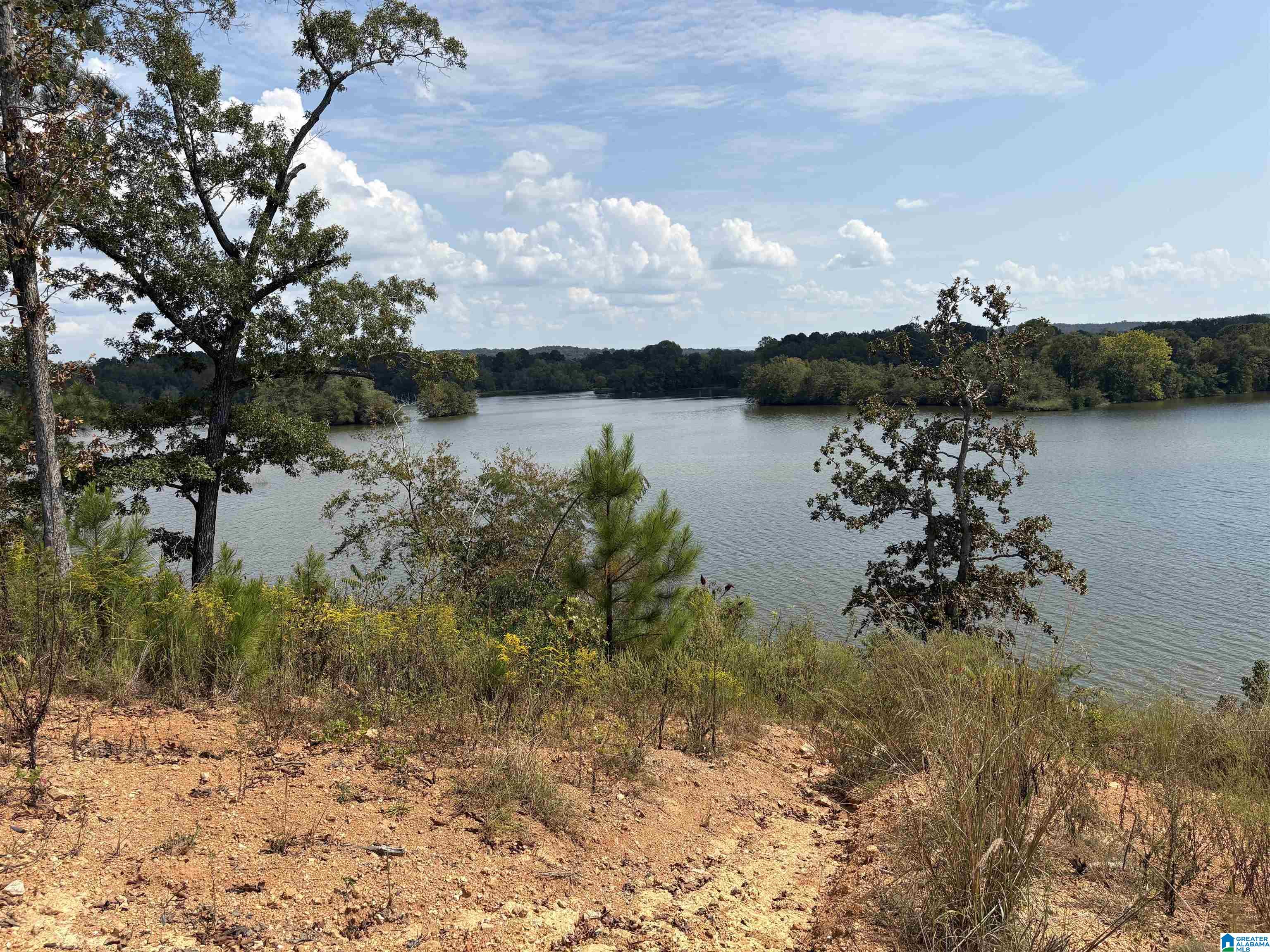 Homes for sale in Lincoln, AL | Lake Pointe Dr, Lincoln, AL 35096 | MLS# 21431290