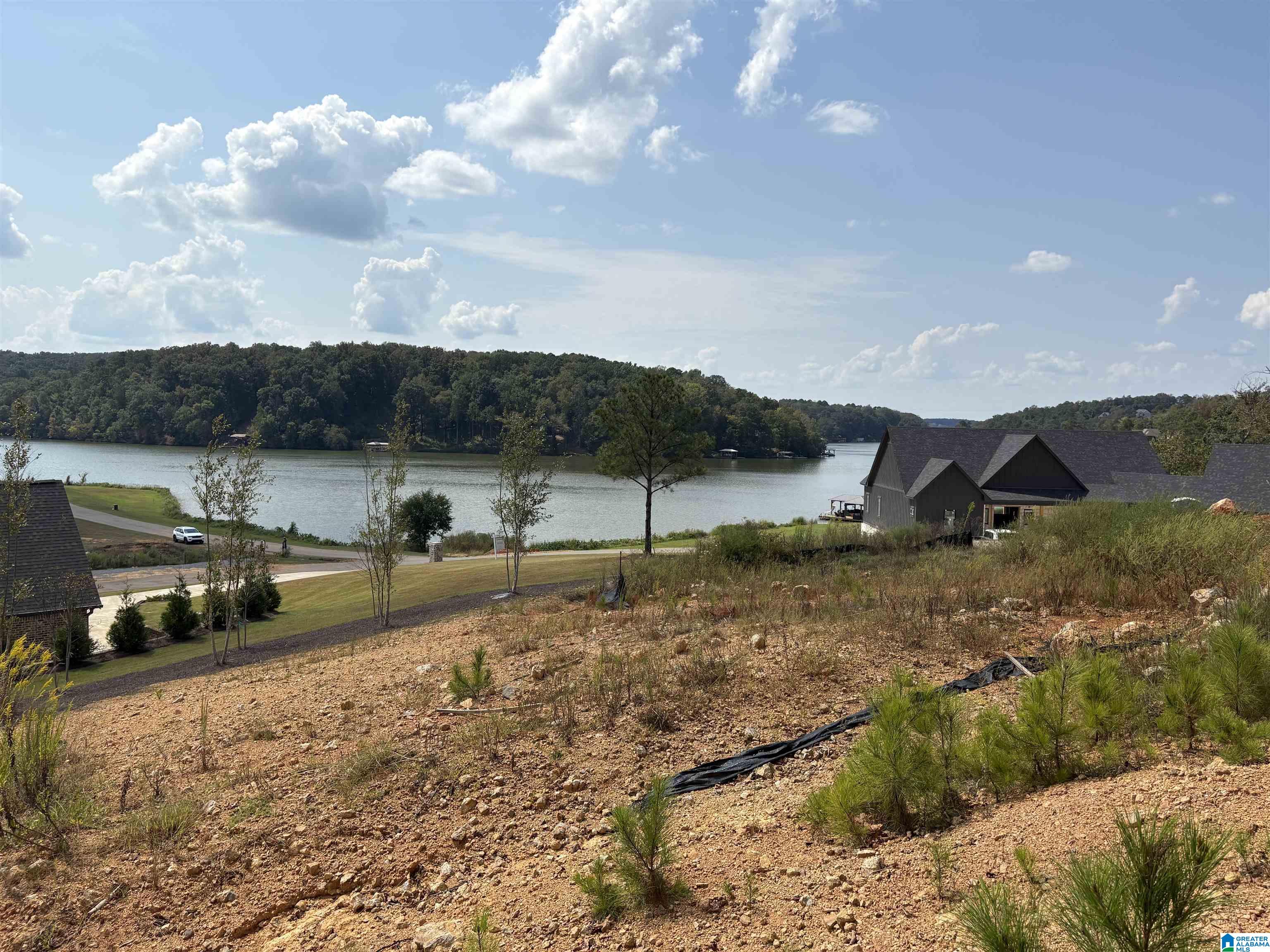 Homes for sale in Lincoln, AL | Lake Pointe Dr, Lincoln, AL 35096 | MLS# 21431290