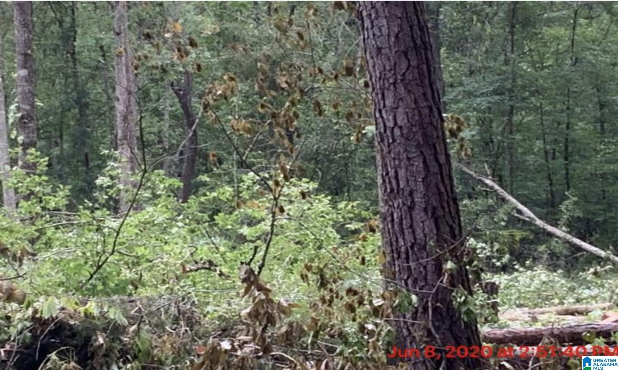 Homes for sale in Calera, AL | 0 16th Street, Calera, AL 35040 | MLS# 21431330