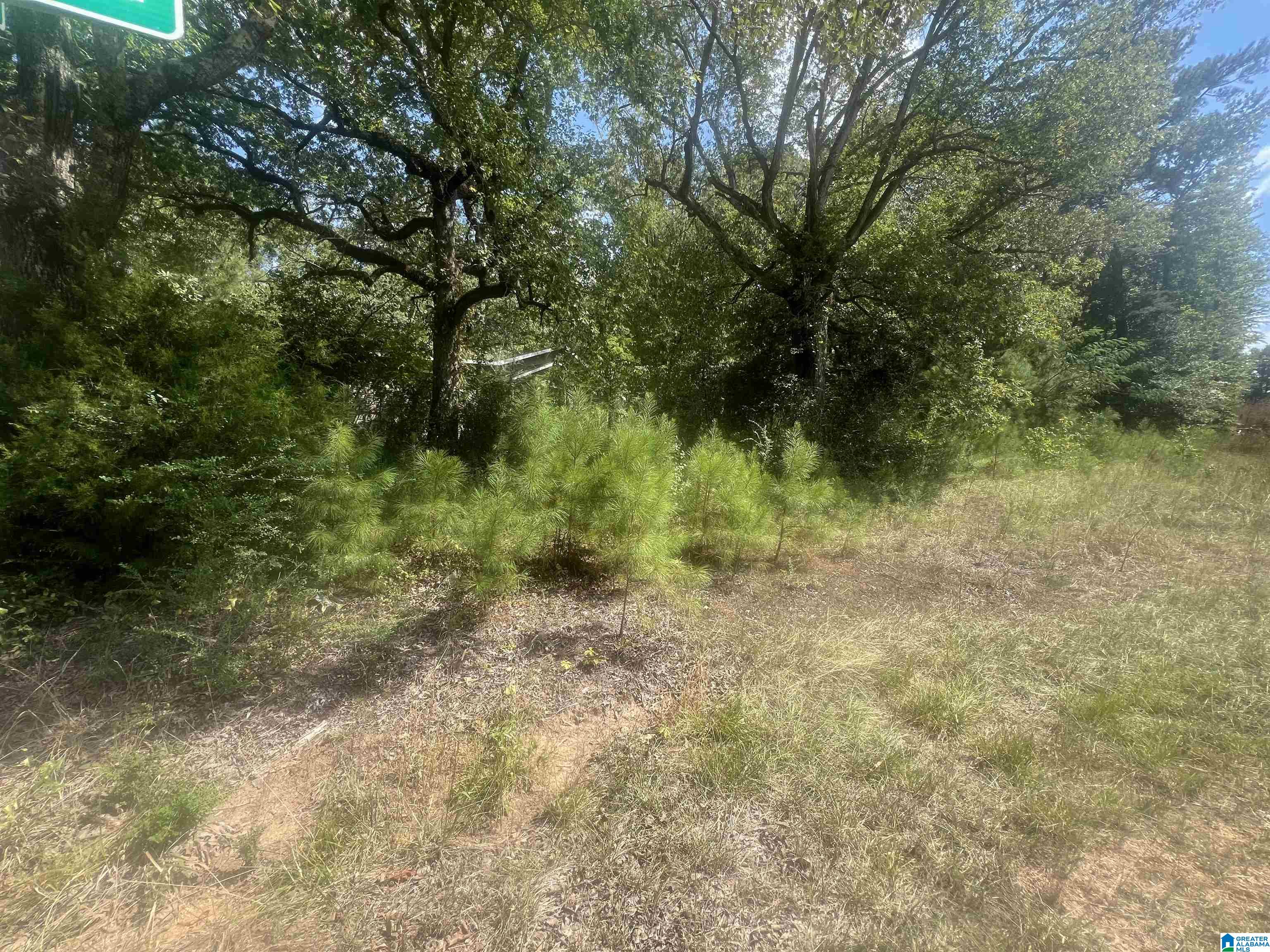 Homes for sale in Adger, AL | 611 Redstone Camp Road, Adger, AL 35006 | MLS# 21431333