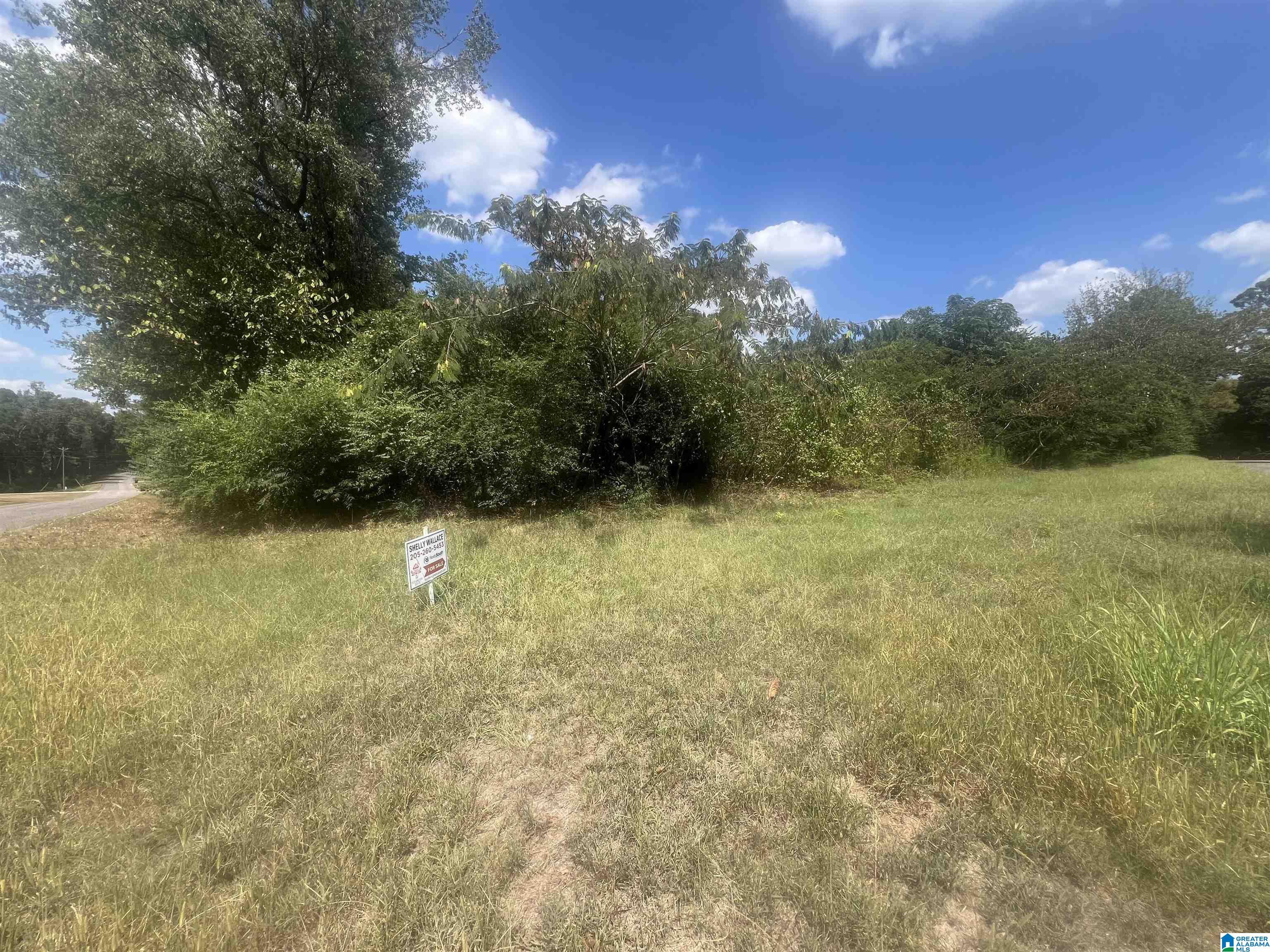 Homes for sale in Adger, AL | 611 Redstone Camp Road, Adger, AL 35006 | MLS# 21431333