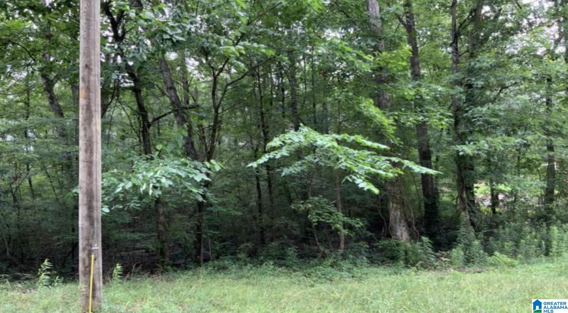 Homes for sale in Calera, AL | 0 19th Street, Calera, AL 35040 | MLS# 21431344