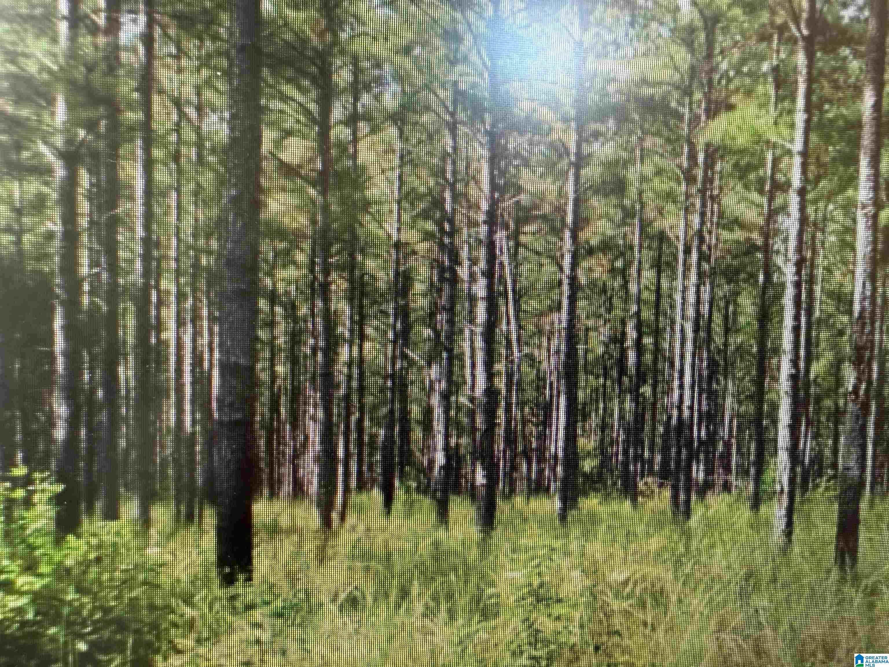 Homes for sale in Morris, AL | 2850 Goodwin Road, Morris, AL 35116 | MLS# 21431428