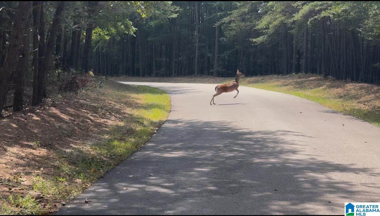 Homes for sale in Columbiana, AL | Lot 5 Heritage Lake Dr, Columbiana, AL 35051 | MLS# 21431472