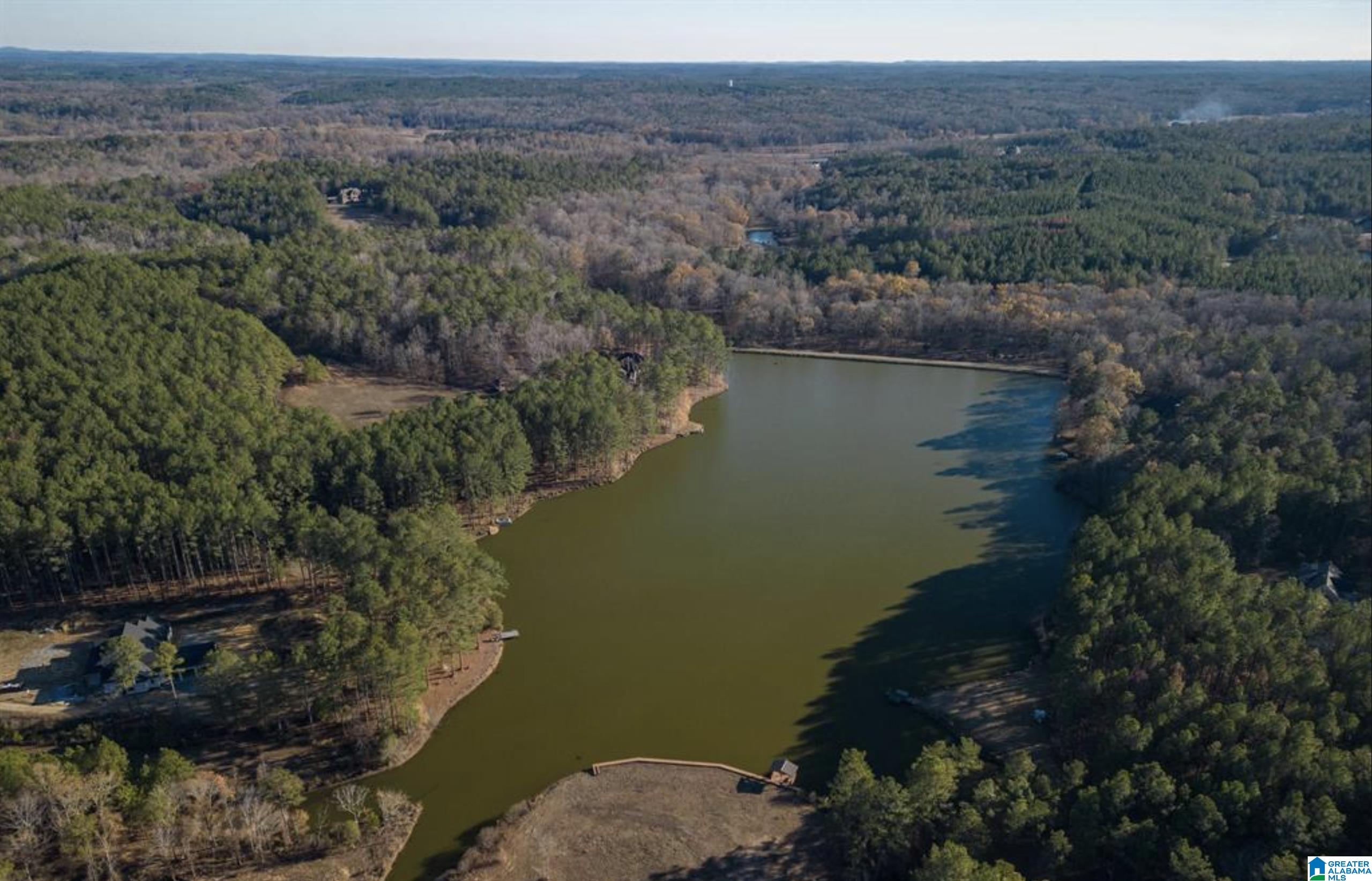 Homes for sale in Columbiana, AL | Lot 5 Heritage Lake Dr, Columbiana, AL 35051 | MLS# 21431472