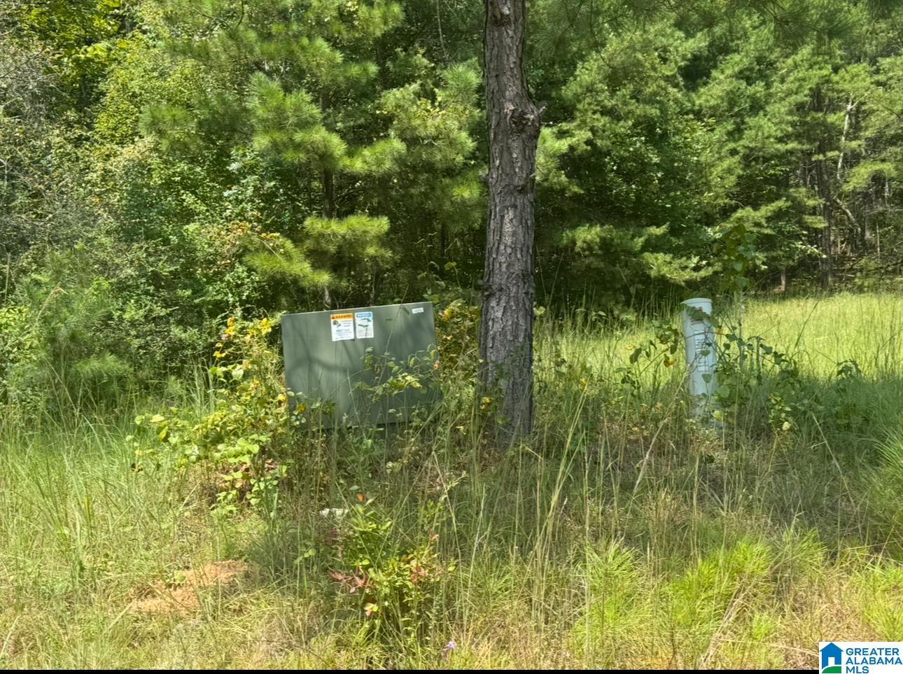 Homes for sale in Columbiana, AL | Lot 5 Heritage Lake Dr, Columbiana, AL 35051 | MLS# 21431472