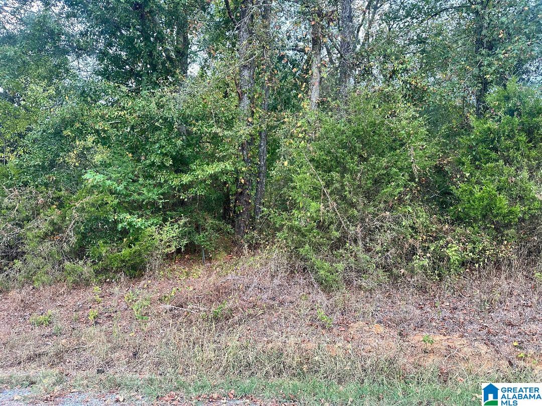 0 LIBERTY ROAD
