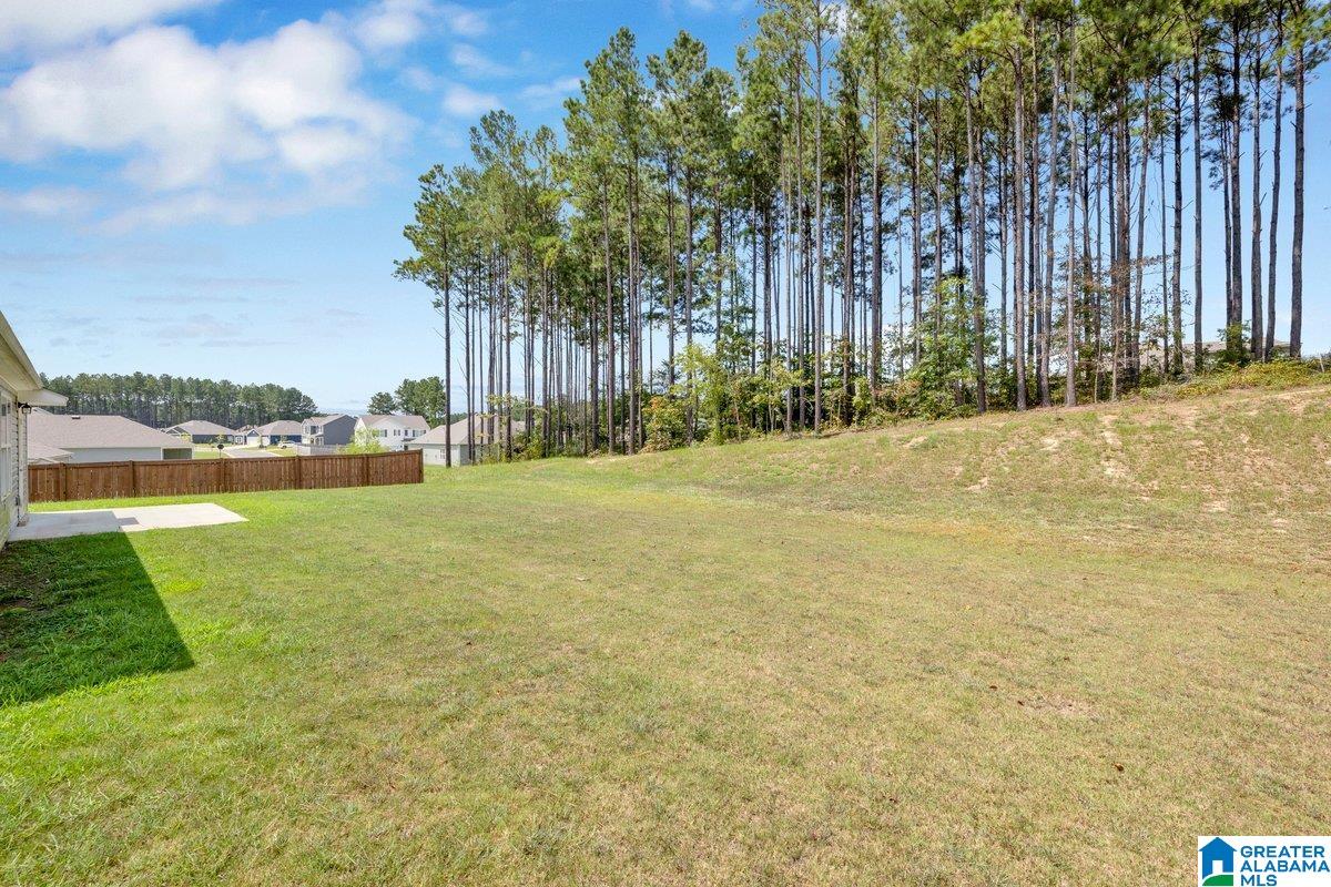 Homes for sale in Kimberly, AL | 416 Stage Coach Boulevard, Kimberly, AL 35091 | MLS# 21431698