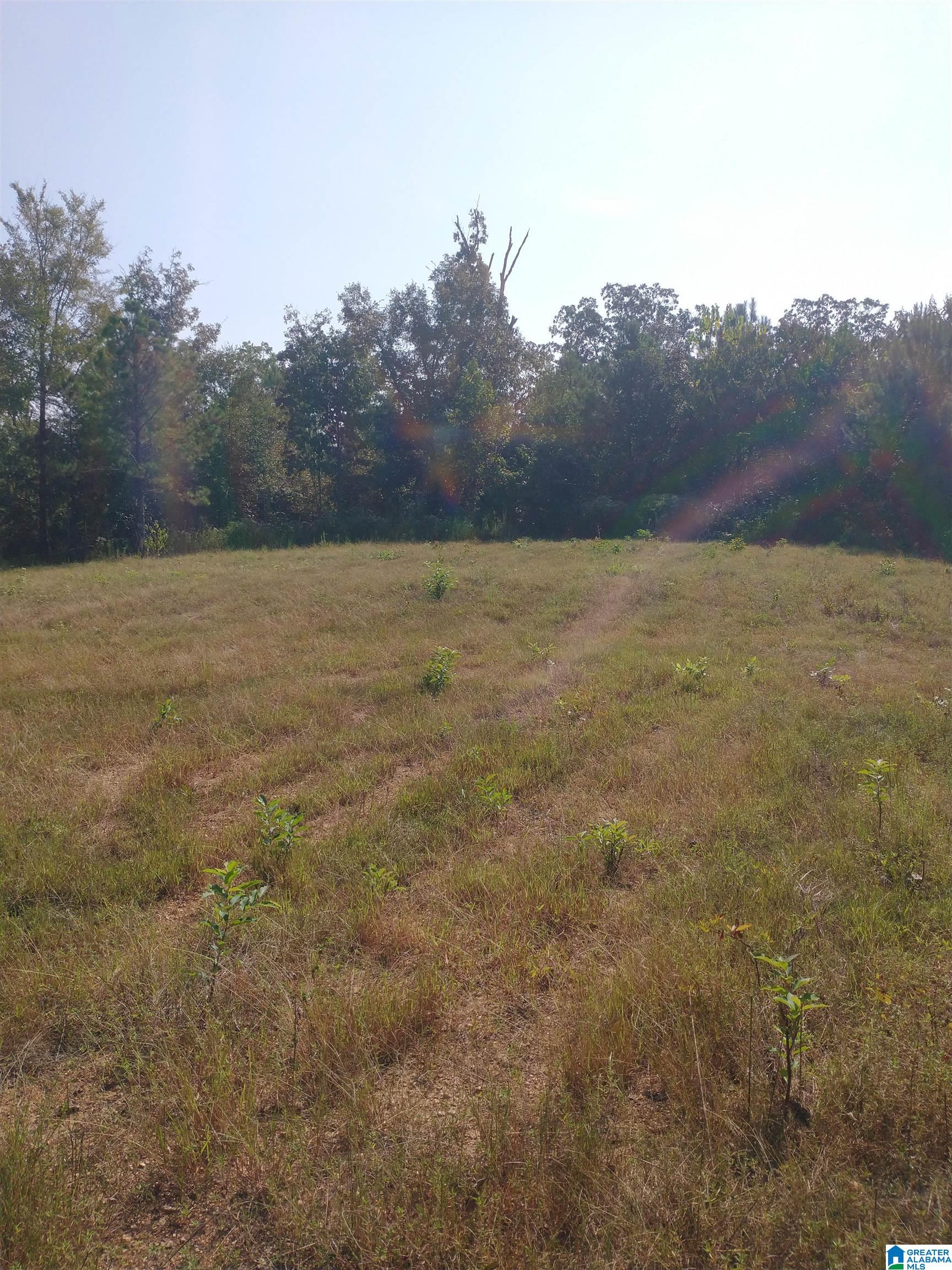 Homes for sale in Riverside, AL | 008100 Mckesie Street, Riverside, AL 35135 | MLS# 21431777