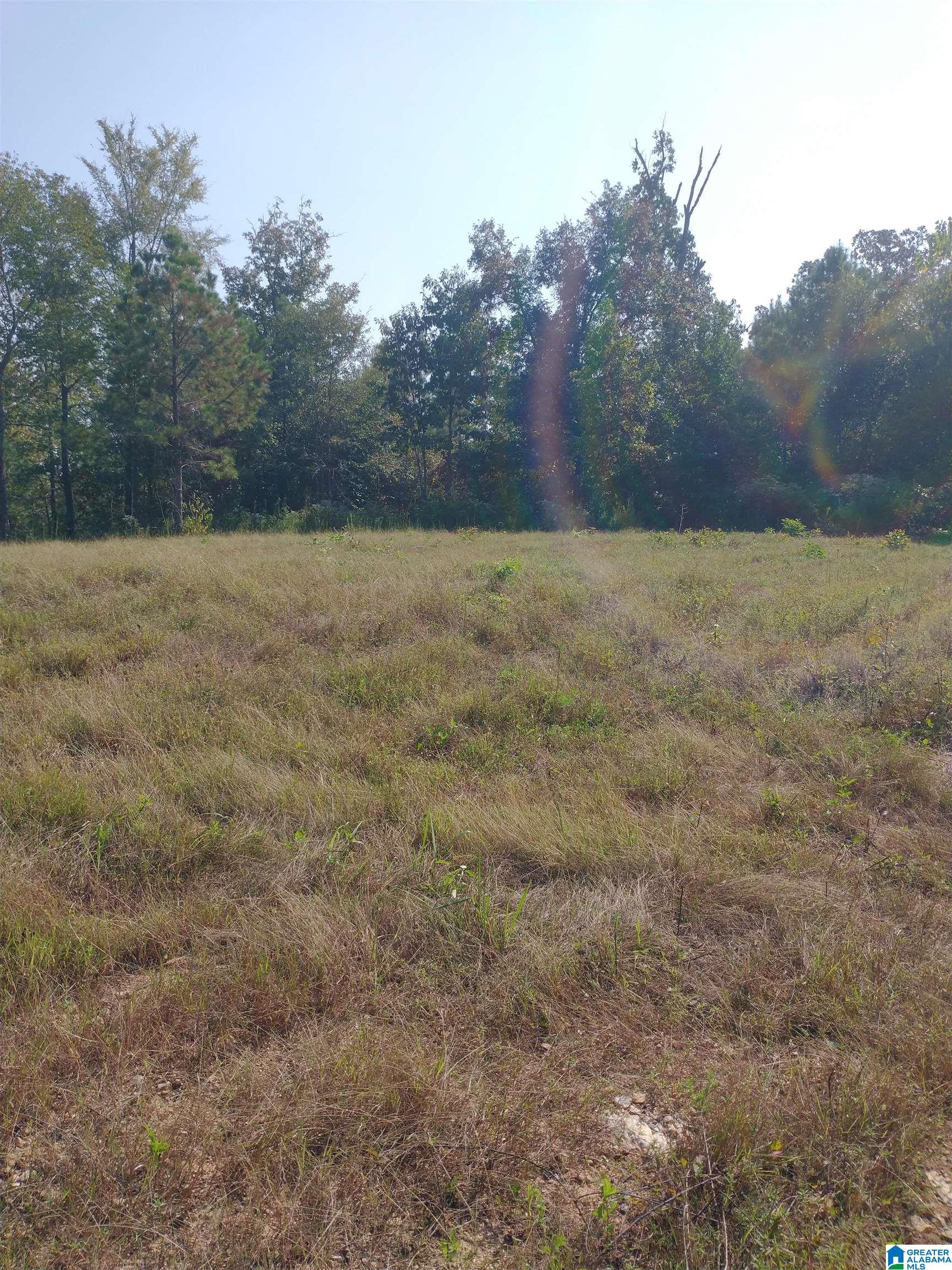 Homes for sale in Riverside, AL | 008100 Mckesie Street, Riverside, AL 35135 | MLS# 21431777