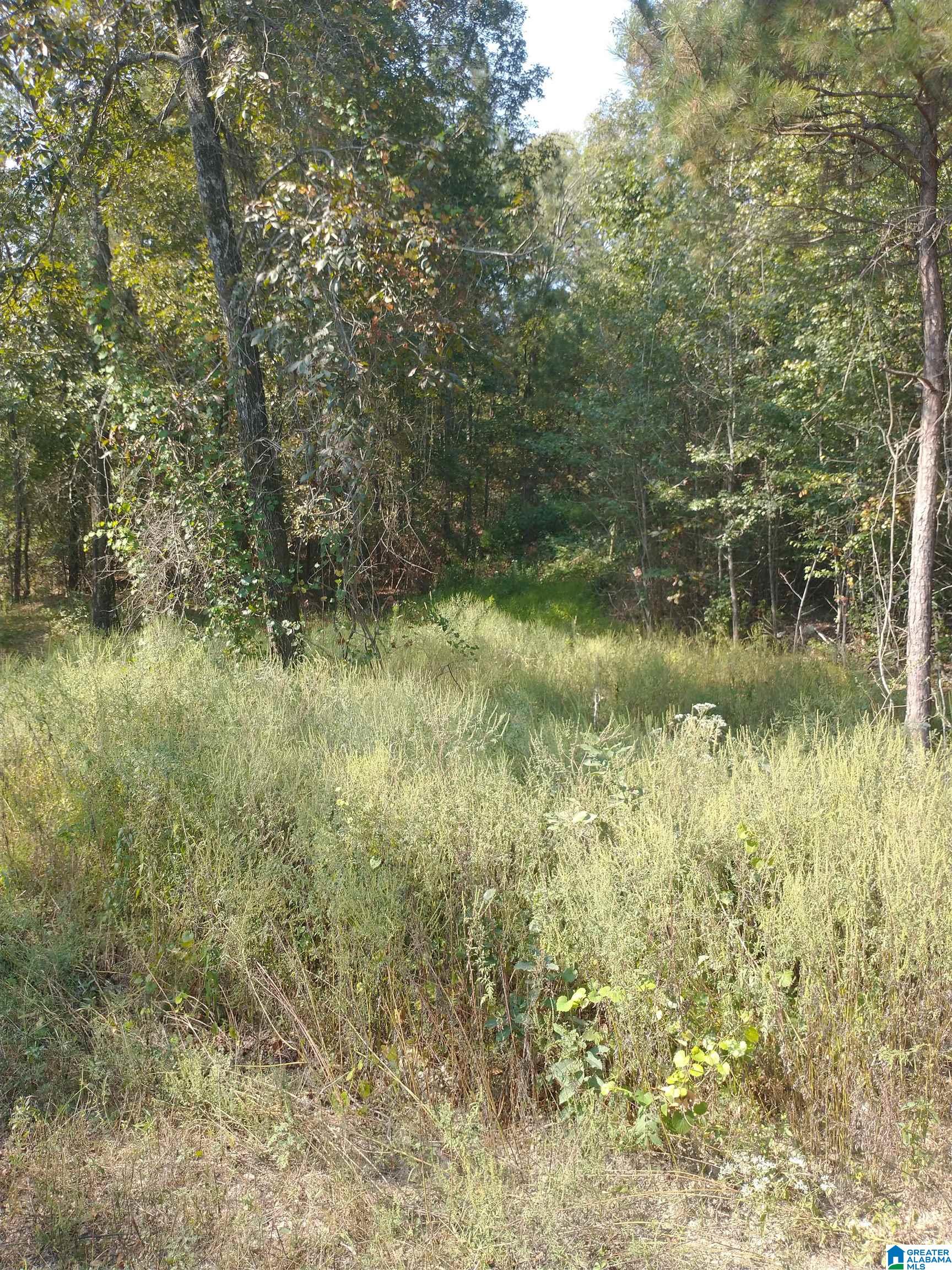 Homes for sale in Riverside, AL | 008100 Mckesie Street, Riverside, AL 35135 | MLS# 21431777