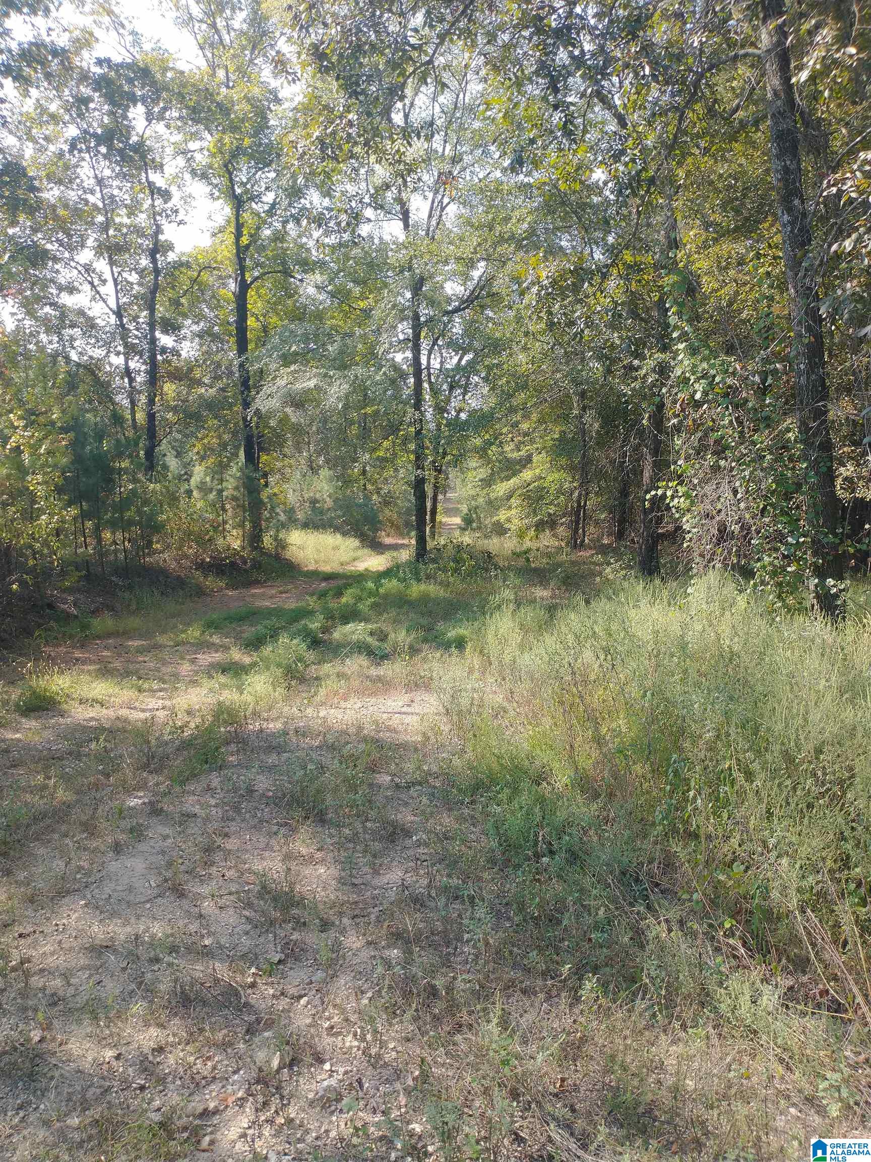 Homes for sale in Riverside, AL | 008100 Mckesie Street, Riverside, AL 35135 | MLS# 21431777