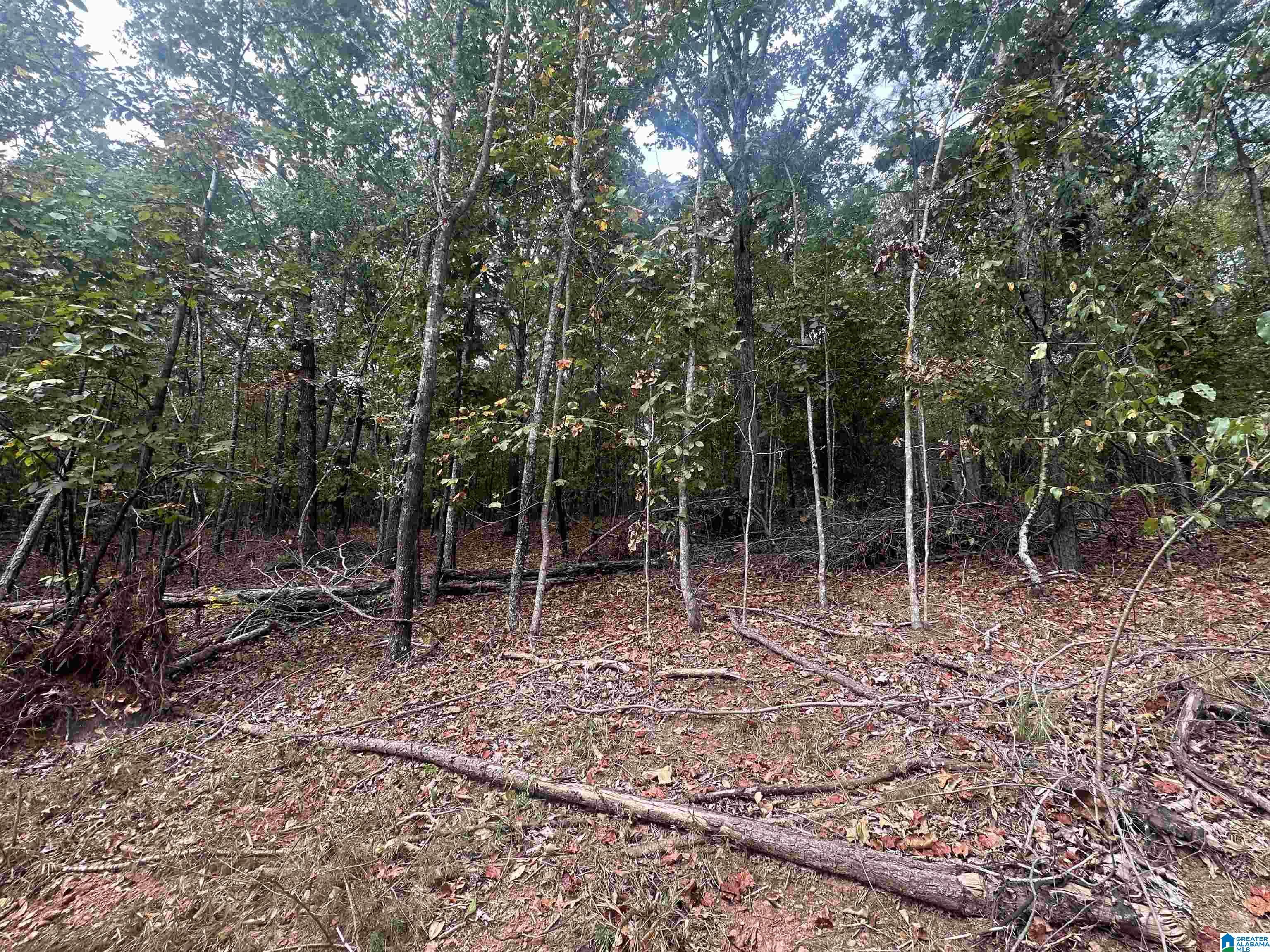 Homes for sale in Delta, AL | 0 Smith Mill Road, Delta, AL 36258 | MLS# 21431801