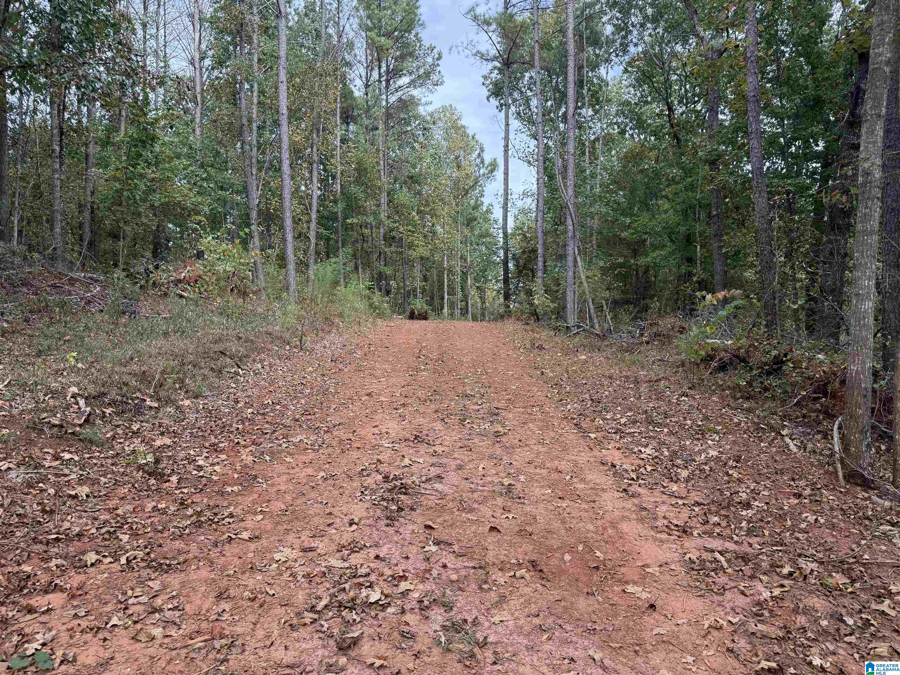 Homes for sale in Delta, AL | 0 Smith Mill Road, Delta, AL 36258 | MLS# 21431801