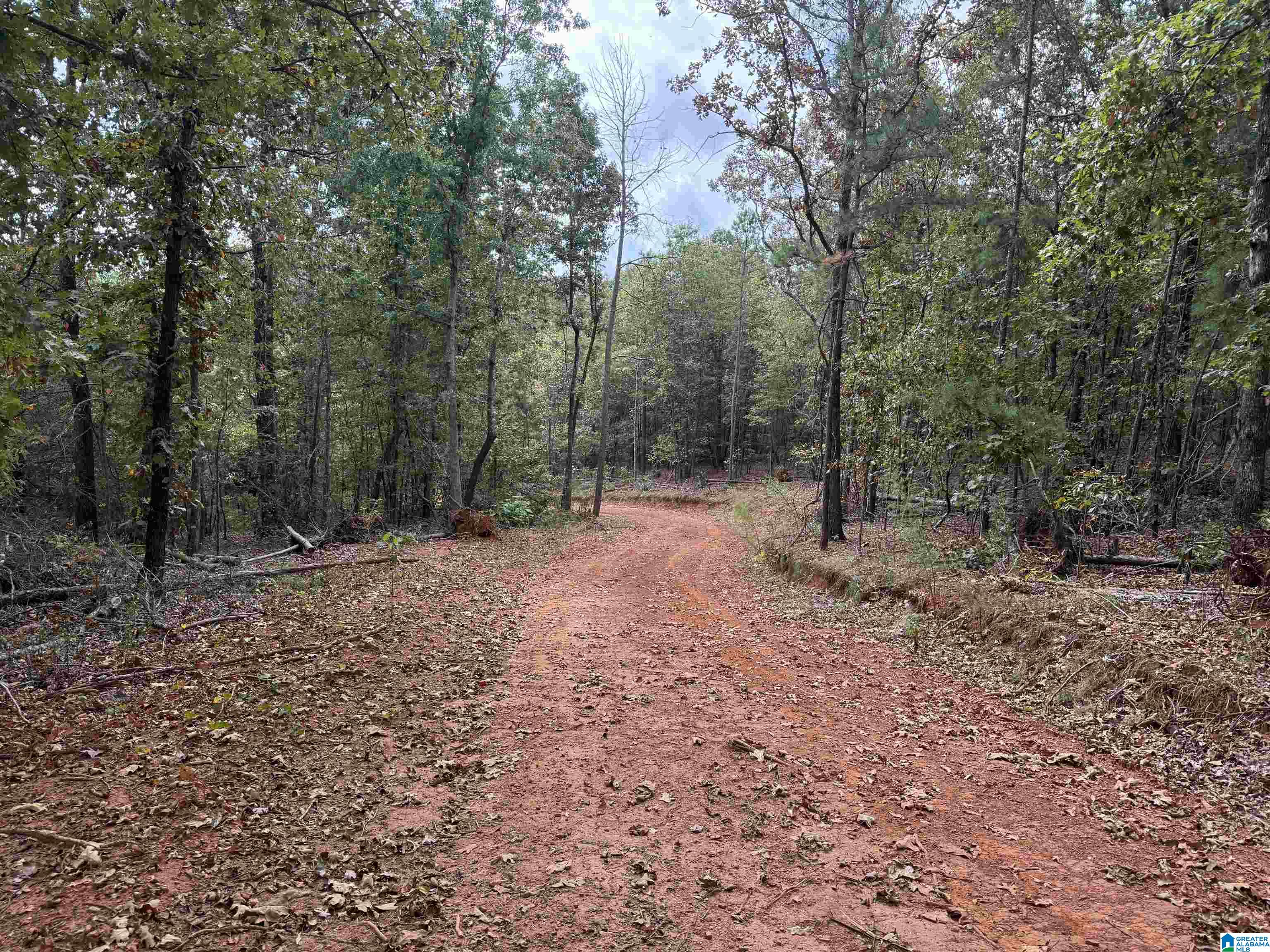 Homes for sale in Delta, AL | 0 Smith Mill Road, Delta, AL 36258 | MLS# 21431801