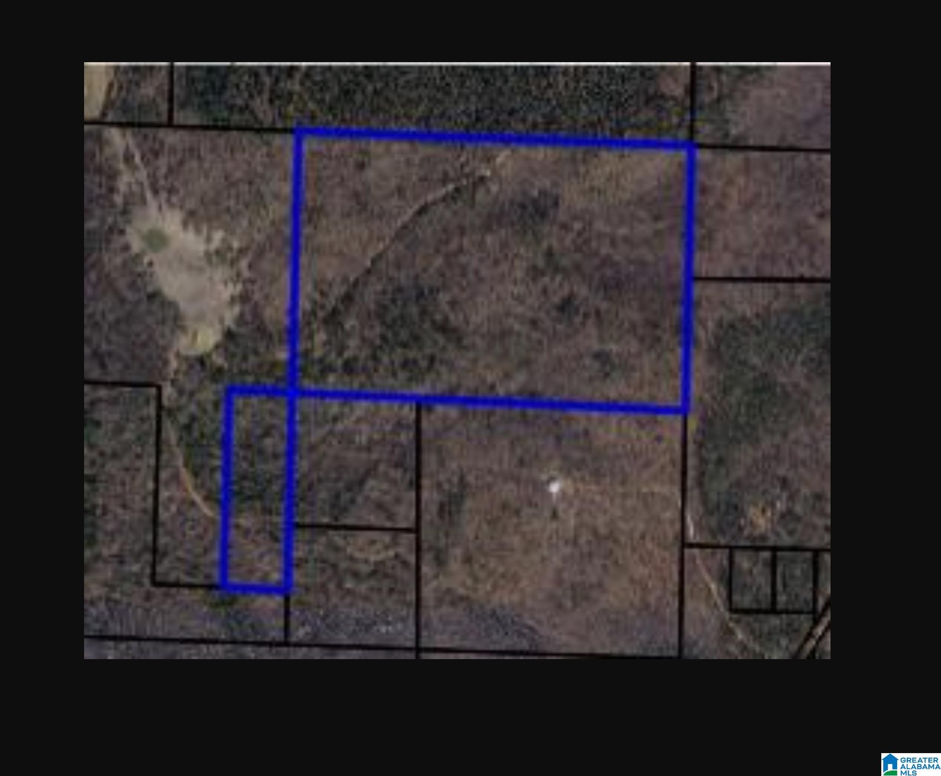 Homes for sale in Delta, AL | 0 Smith Mill Road, Delta, AL 36258 | MLS# 21431801