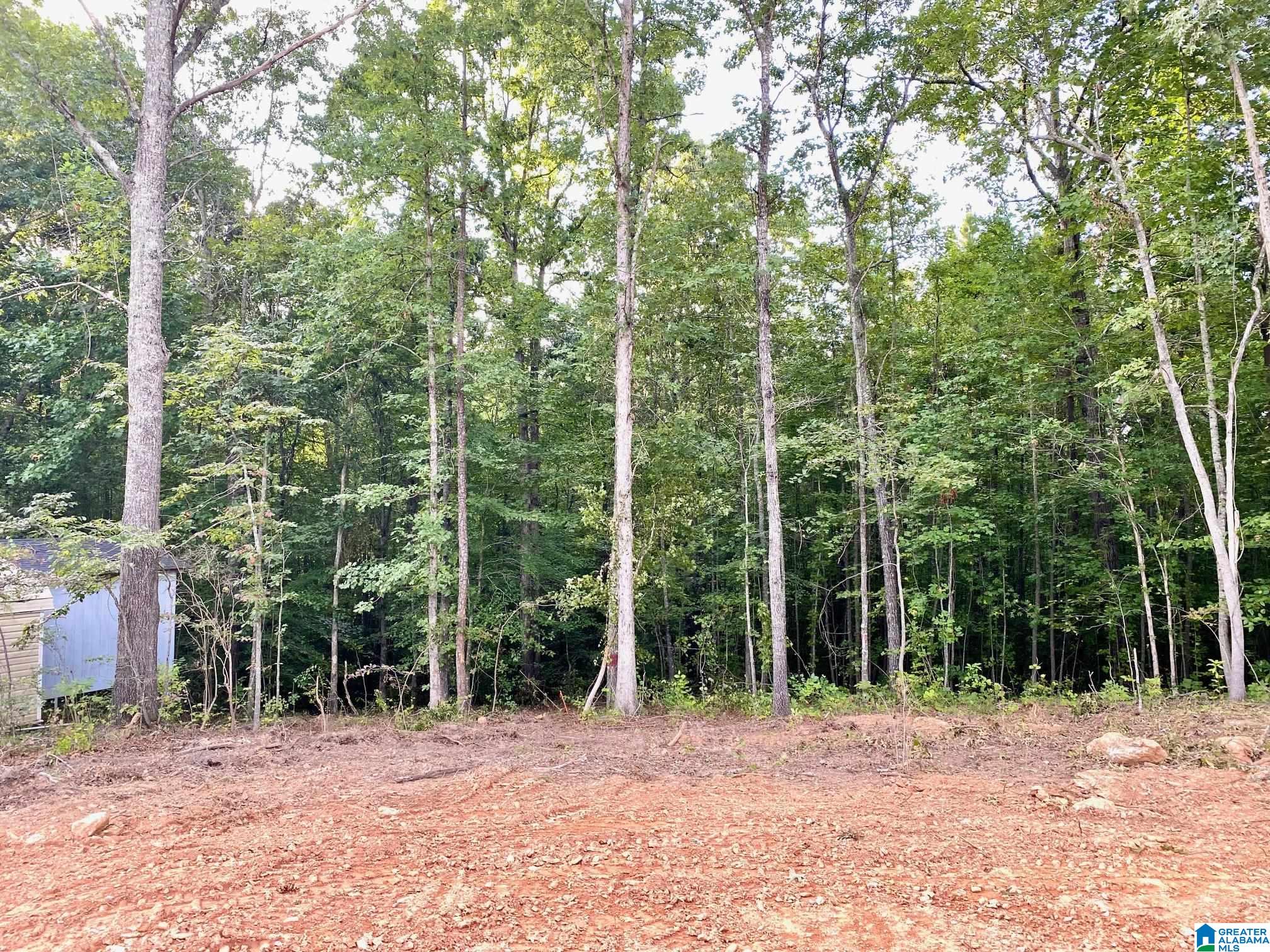 Homes for sale in Ranburne, AL | 0 County Road 852, Ranburne, AL 36273 | MLS# 21431870