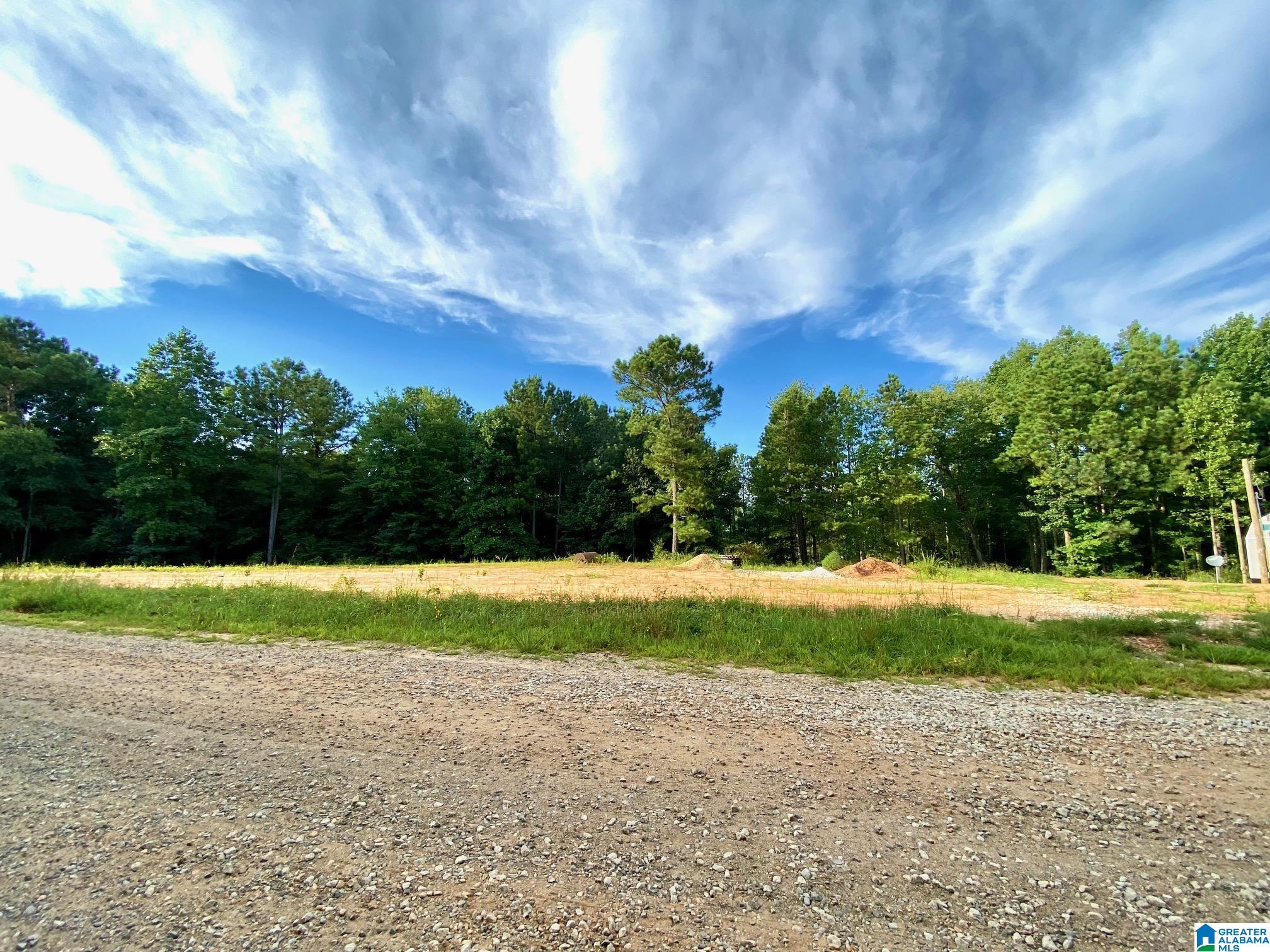 Homes for sale in Ranburne, AL | 0 County Road 852, Ranburne, AL 36273 | MLS# 21431870
