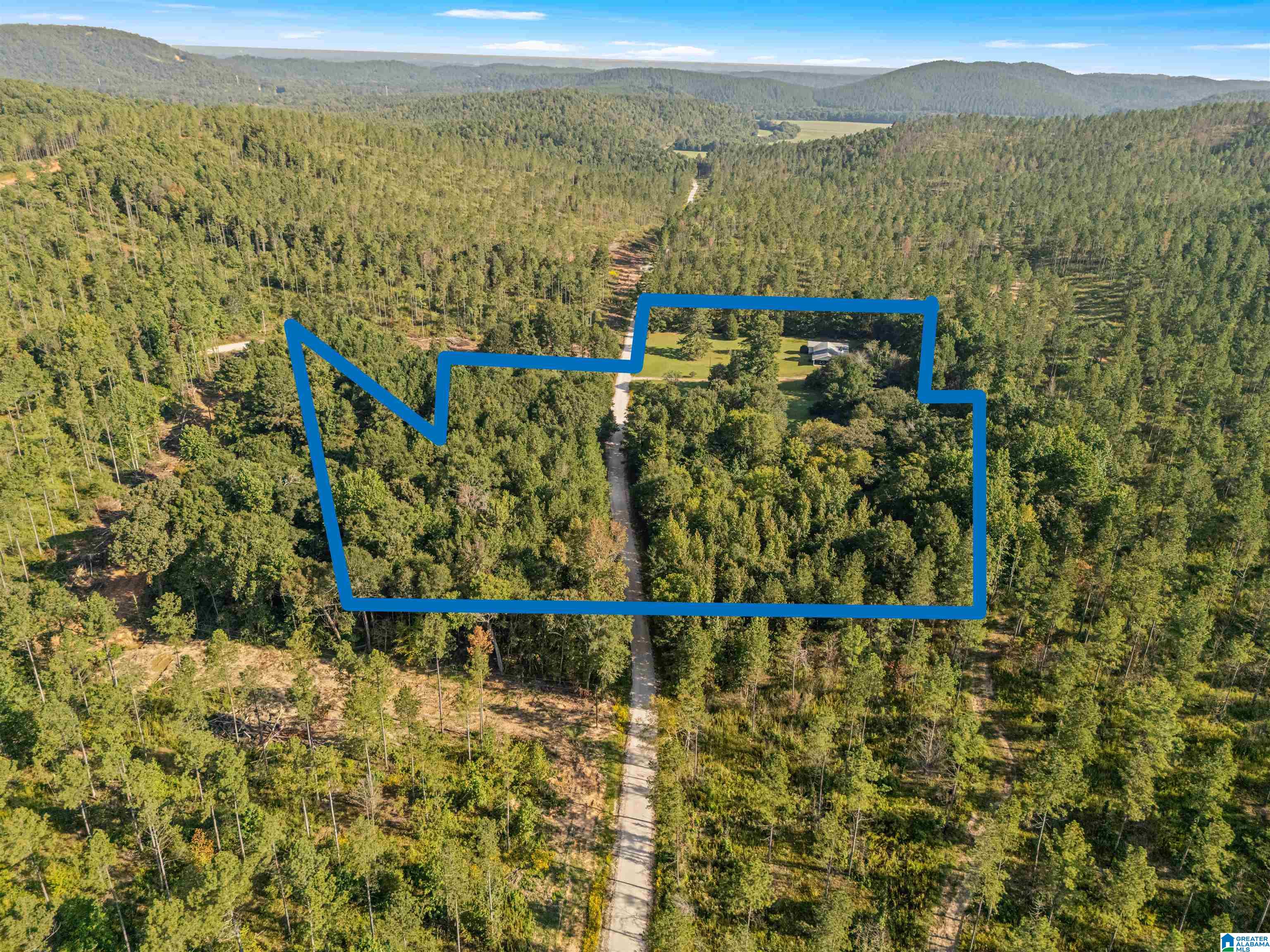 Homes for sale in Piedmont, AL | 2250 County Road 175, Piedmont, AL 36272 | MLS# 21431916