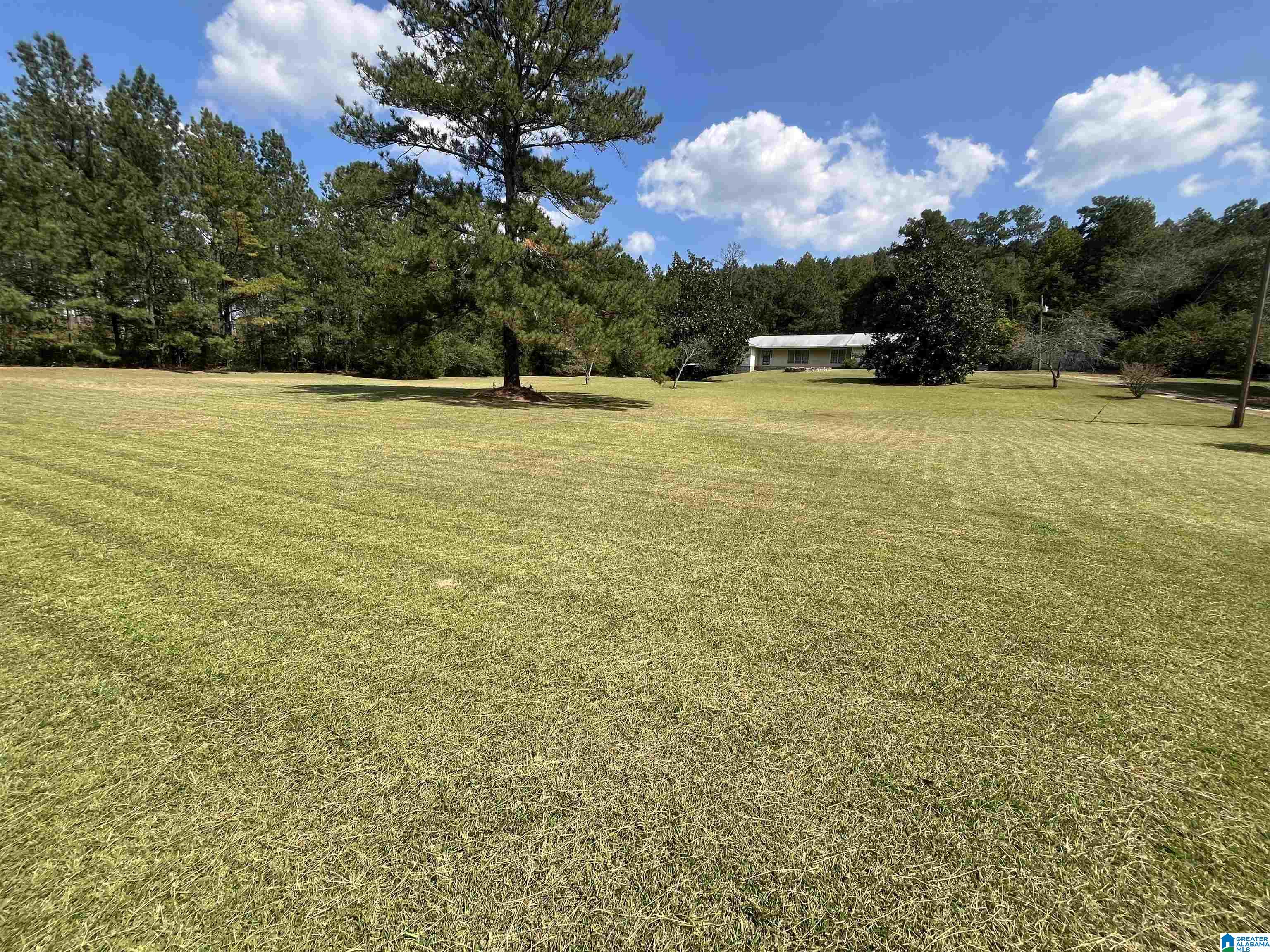 Homes for sale in Piedmont, AL | 2250 County Road 175, Piedmont, AL 36272 | MLS# 21431916