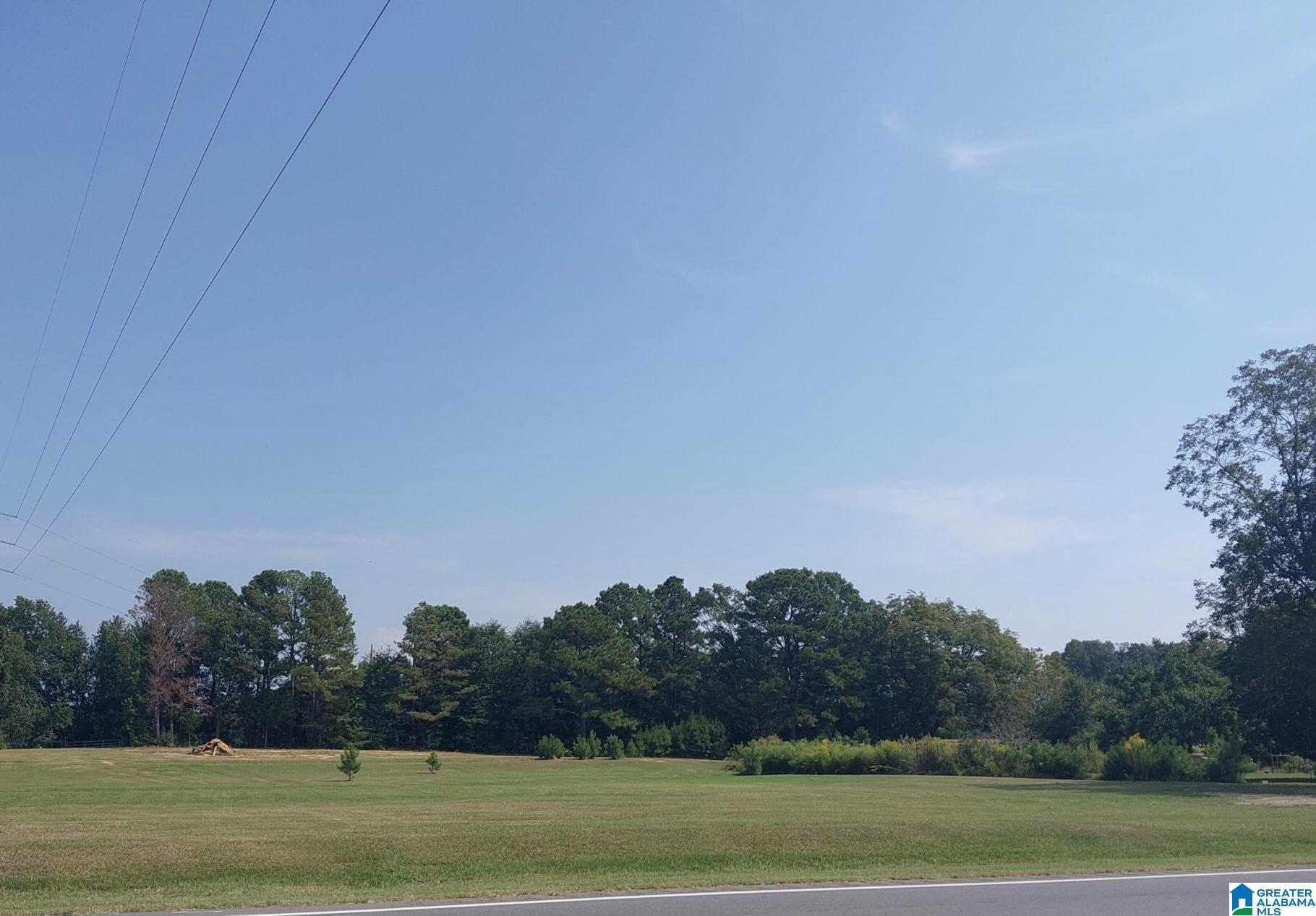 Homes for sale in Thorsby, AL | 22248 Hwy 31, Thorsby, AL 35171 | MLS# 21431941