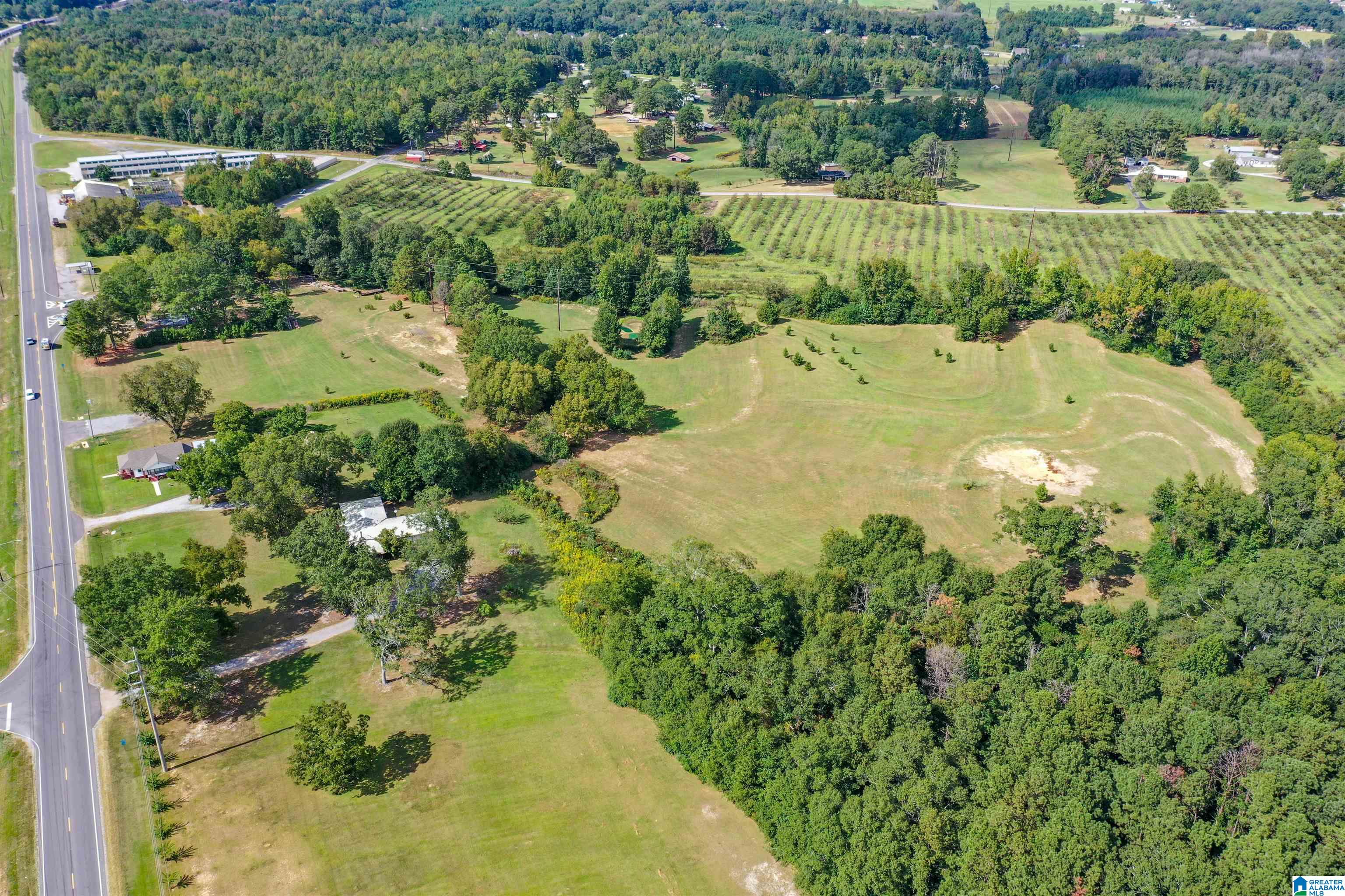 Homes for sale in Thorsby, AL | 22248 Hwy 31, Thorsby, AL 35171 | MLS# 21431941