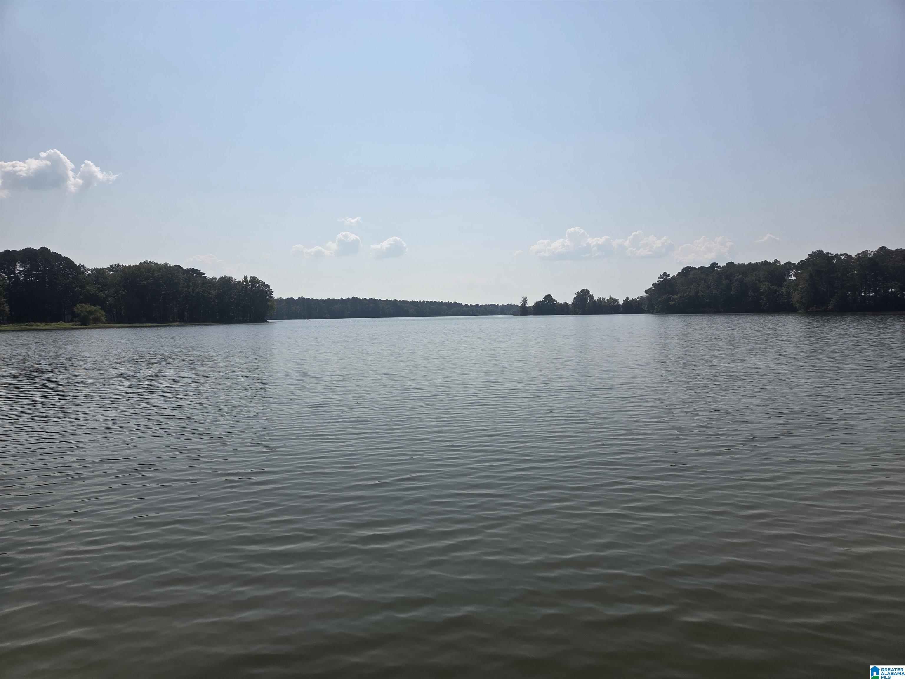 Homes for sale in Riverside, AL | 167 Lock Haven Circle, Riverside, AL 35135 | MLS# 21431948