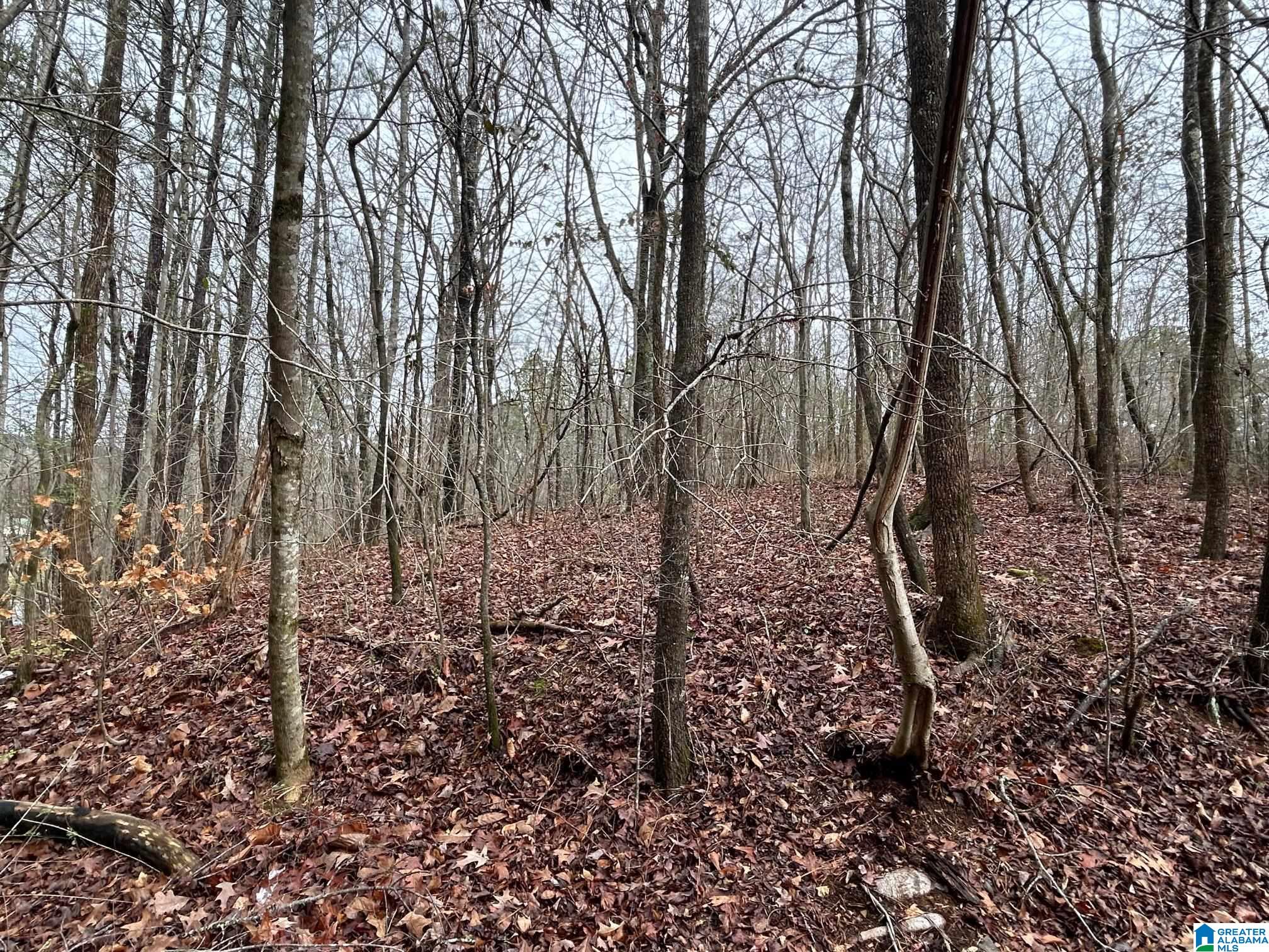 Homes for sale in Wellington, AL | 1974 Websters Chapel Road, Wellington, AL 36279 | MLS# 21431952