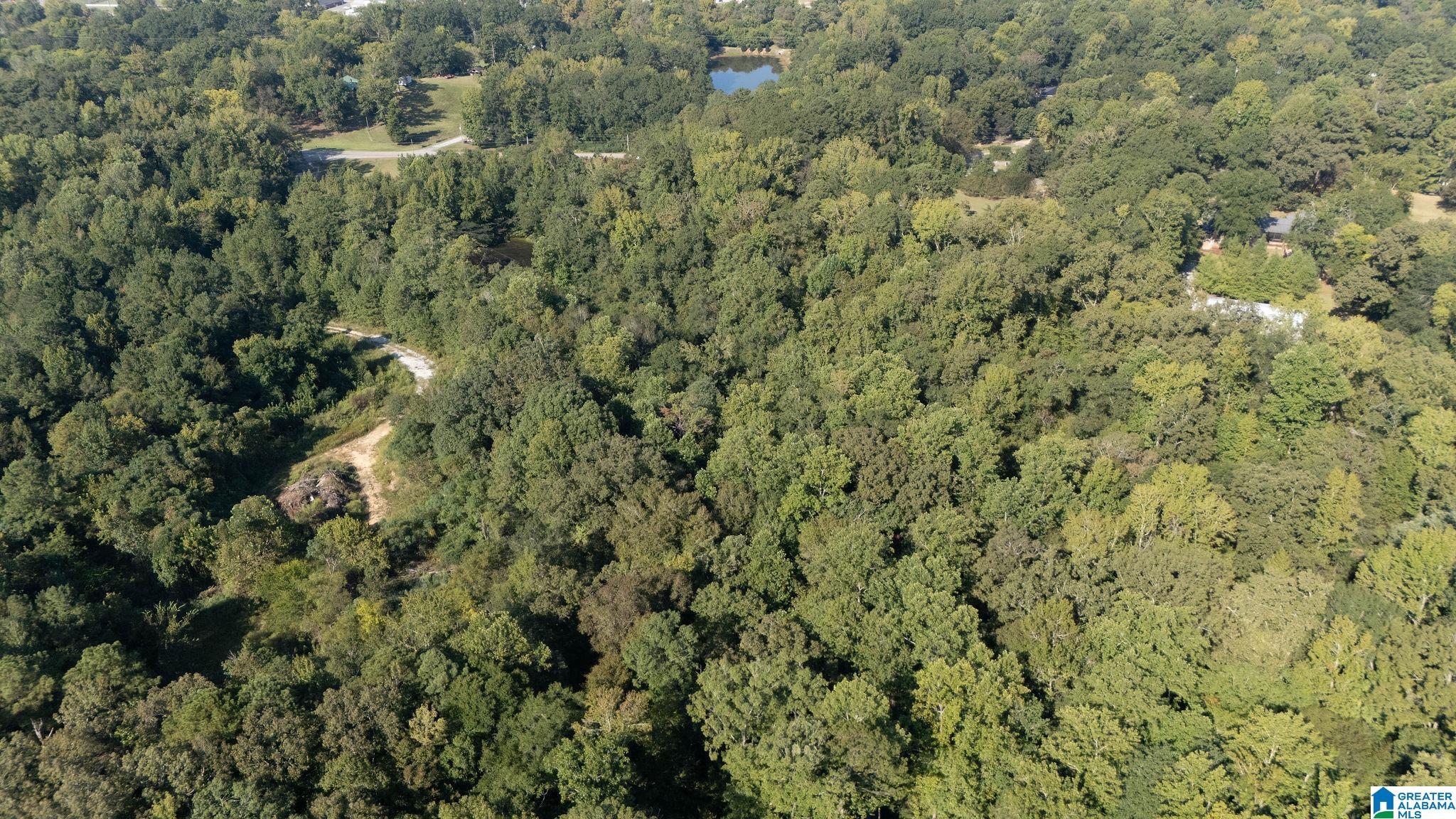 Homes for sale in Centreville, AL | 0 Magnolia Circle, Centreville, AL 35042 | MLS# 21432203