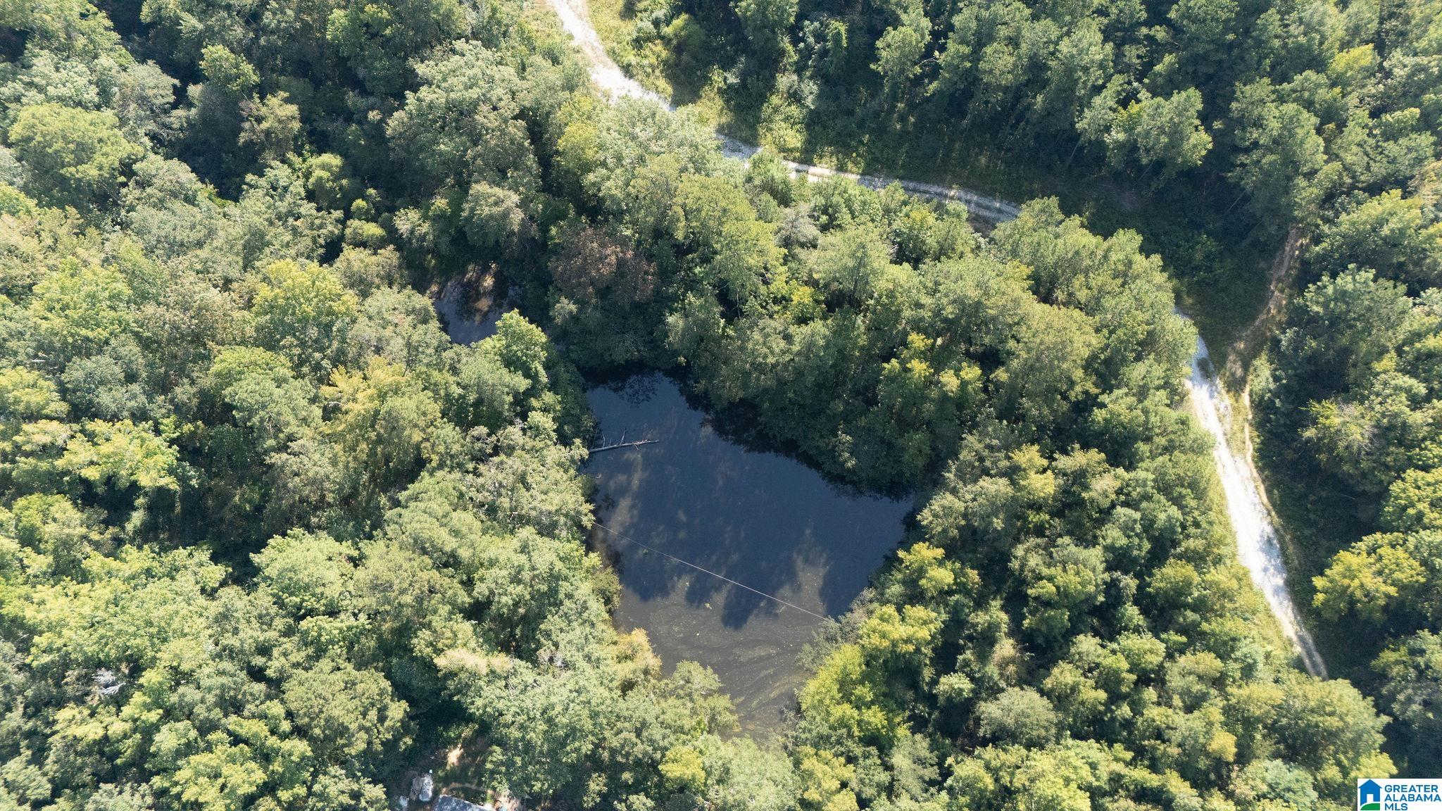 Homes for sale in Centreville, AL | 0 Magnolia Circle, Centreville, AL 35042 | MLS# 21432203