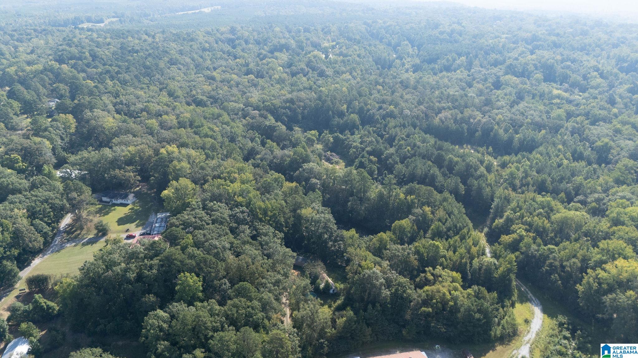 Homes for sale in Centreville, AL | 0 Magnolia Circle, Centreville, AL 35042 | MLS# 21432203