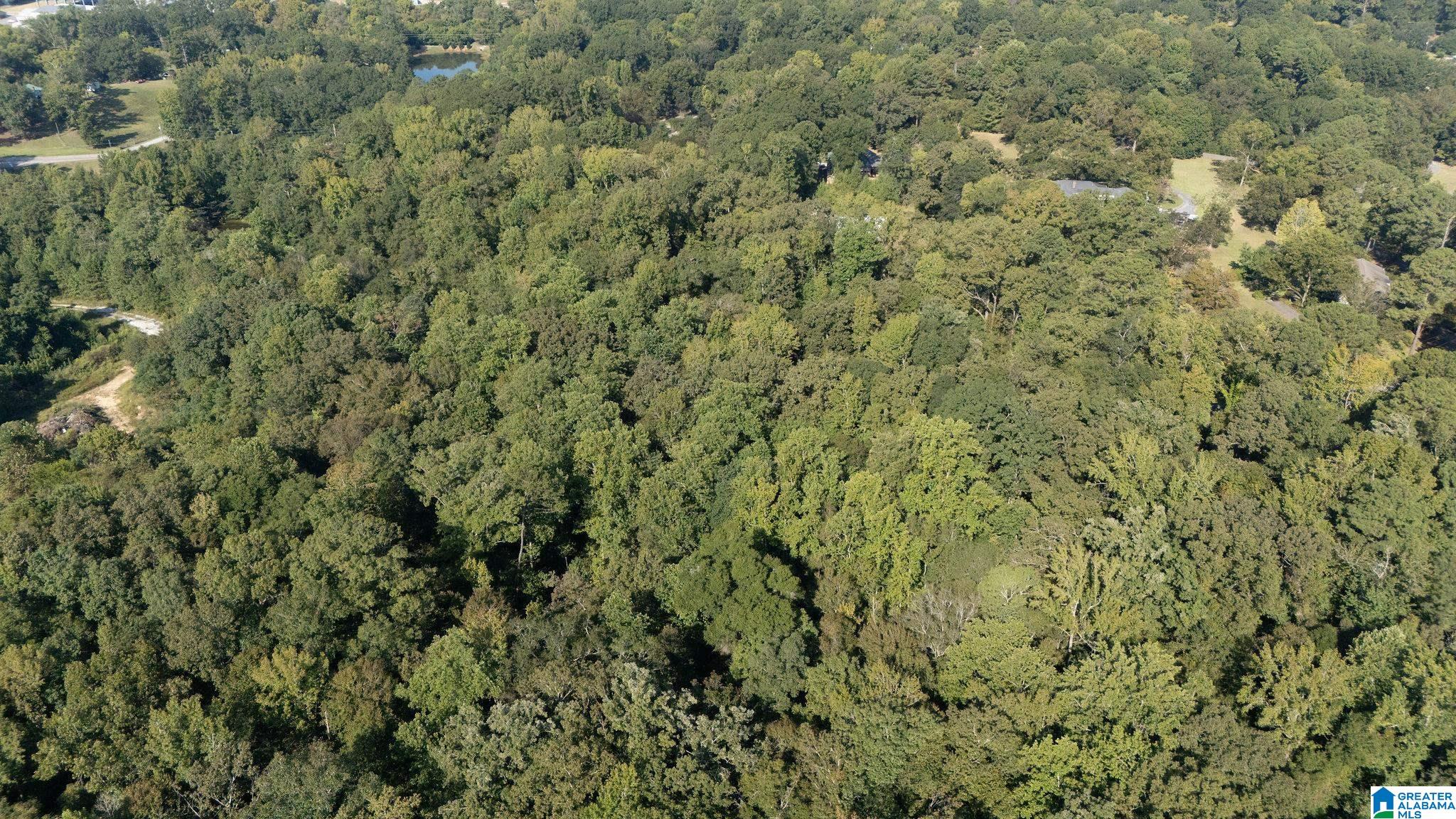 Homes for sale in Centreville, AL | 0 Magnolia Circle, Centreville, AL 35042 | MLS# 21432203