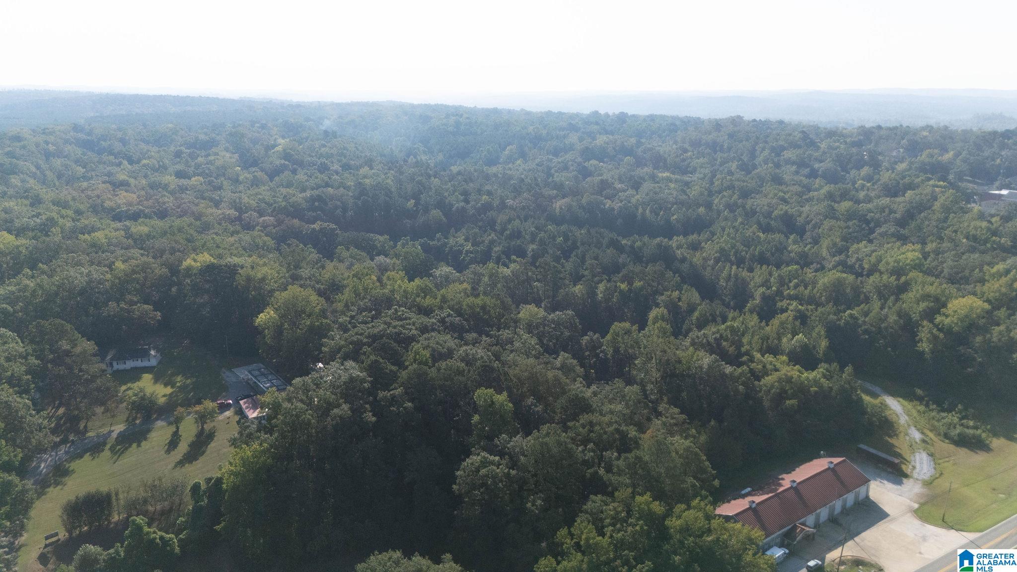 Homes for sale in Centreville, AL | 0 Magnolia Circle, Centreville, AL 35042 | MLS# 21432203
